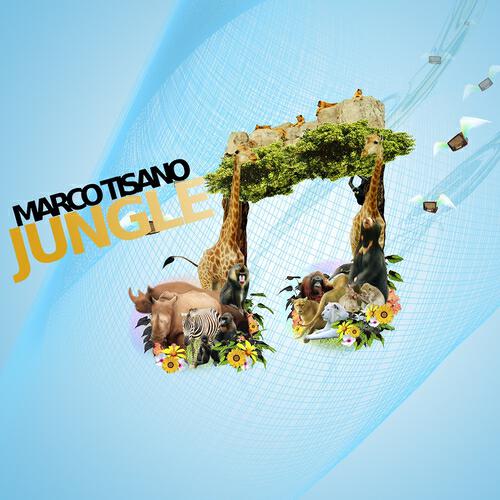 Релиз Jungle