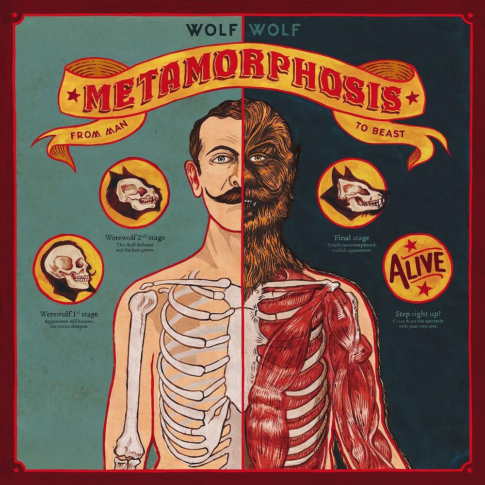Релиз Metamorphosis