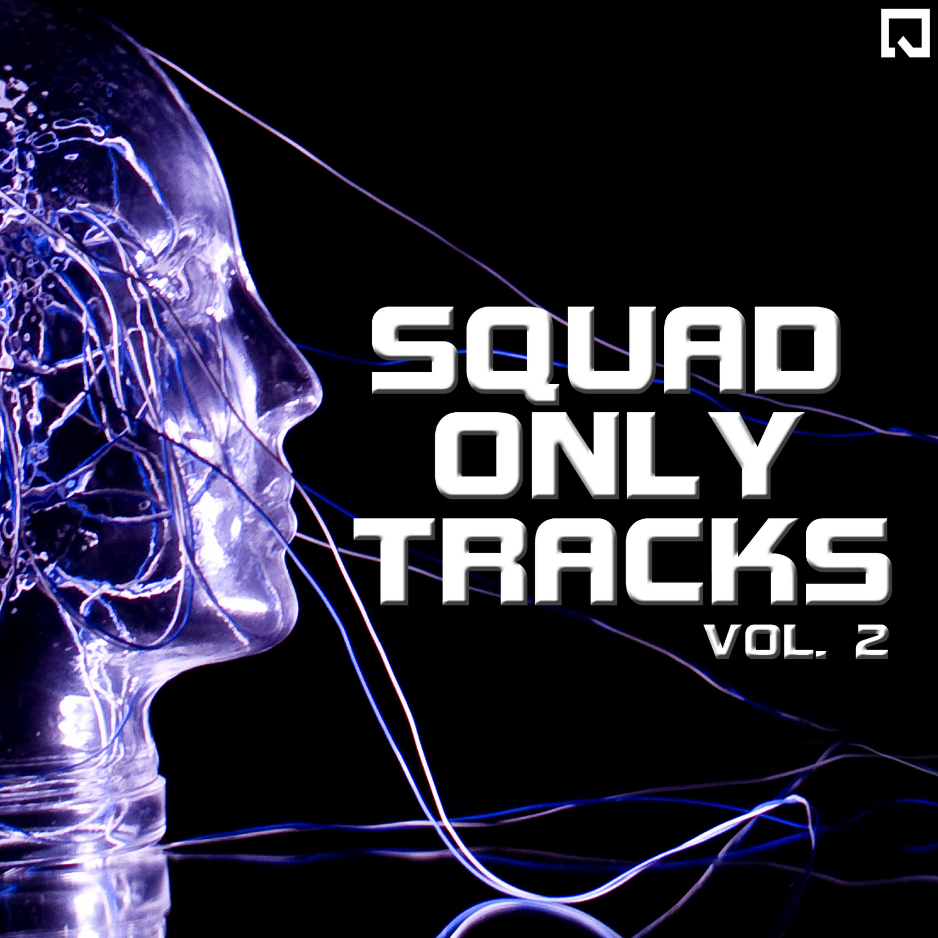 Постер альбома Squad Only Tracks Vol. 2