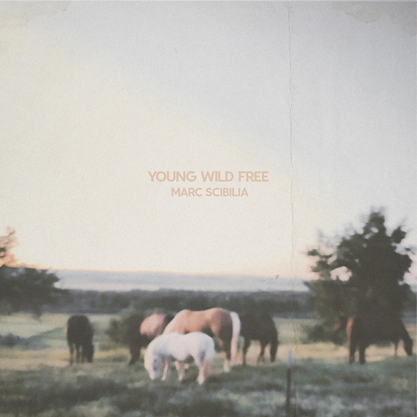Релиз Young Wild Free