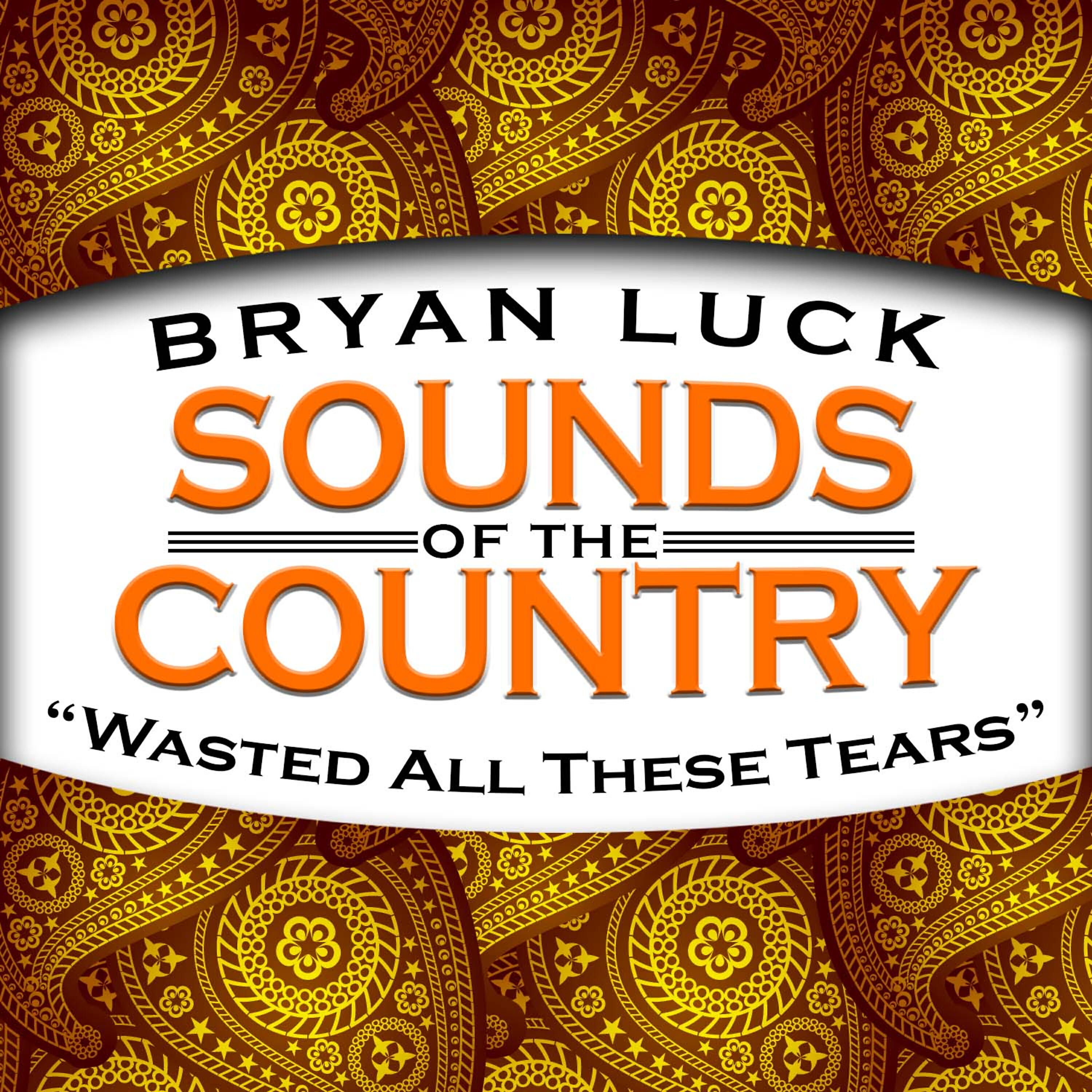 Релиз Wasted All These Tears