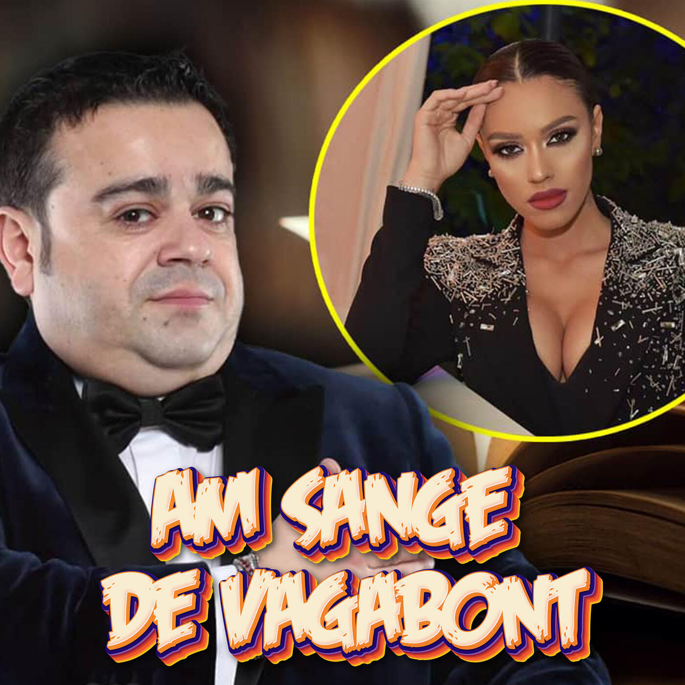 Постер альбома Am sange de vagabont
