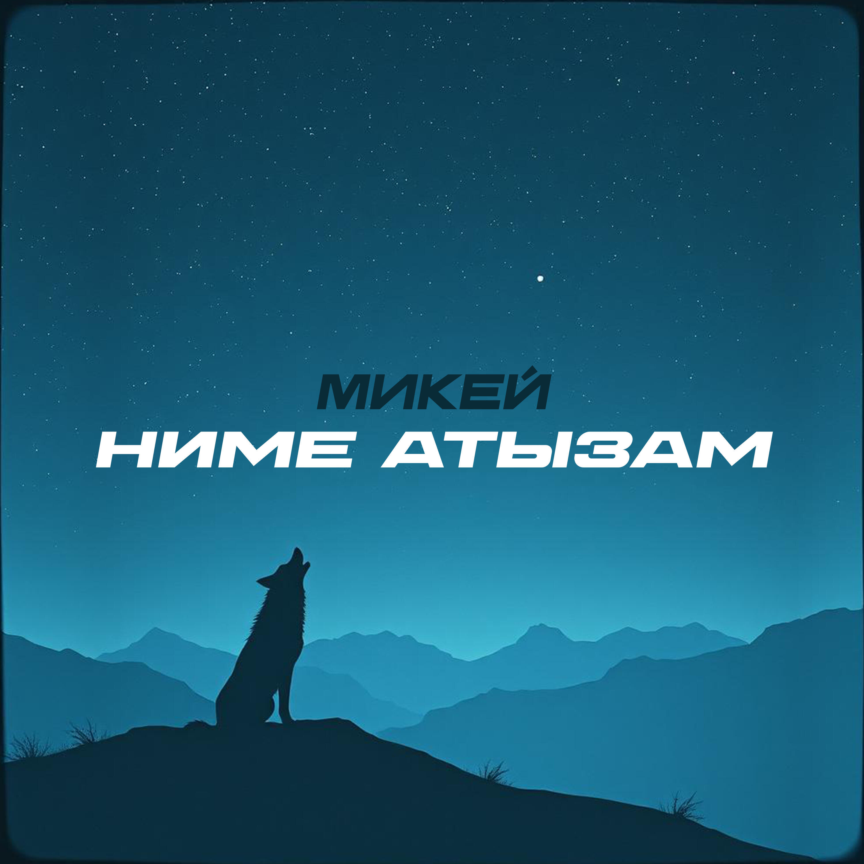 Релиз Ниме Атызам