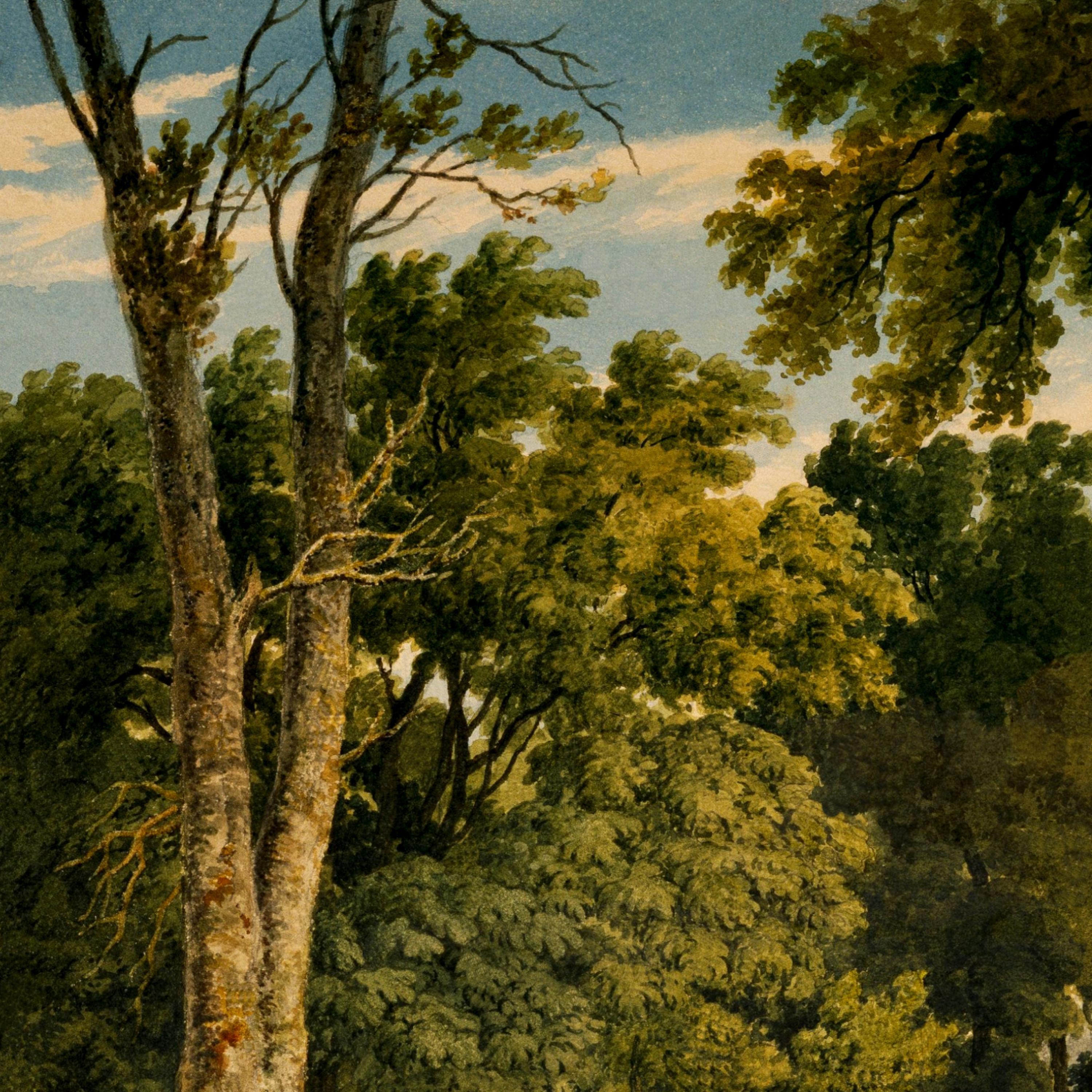 Релиз Treehouse Kingdom