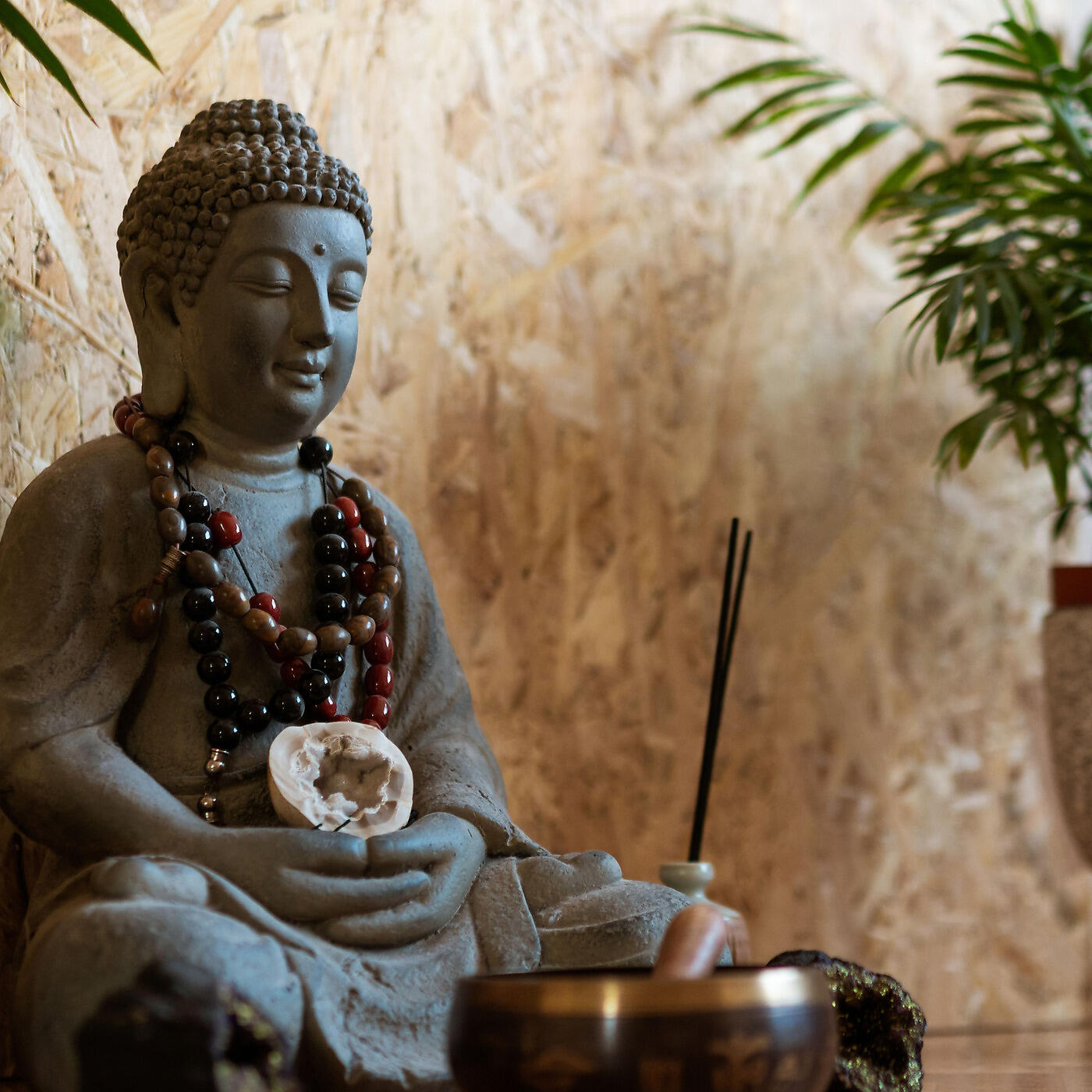Релиз Calm Buddha