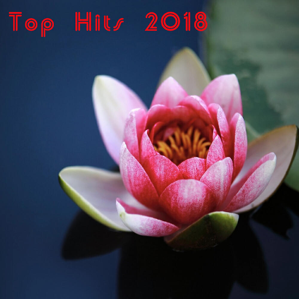 Релиз Top Hits 2018