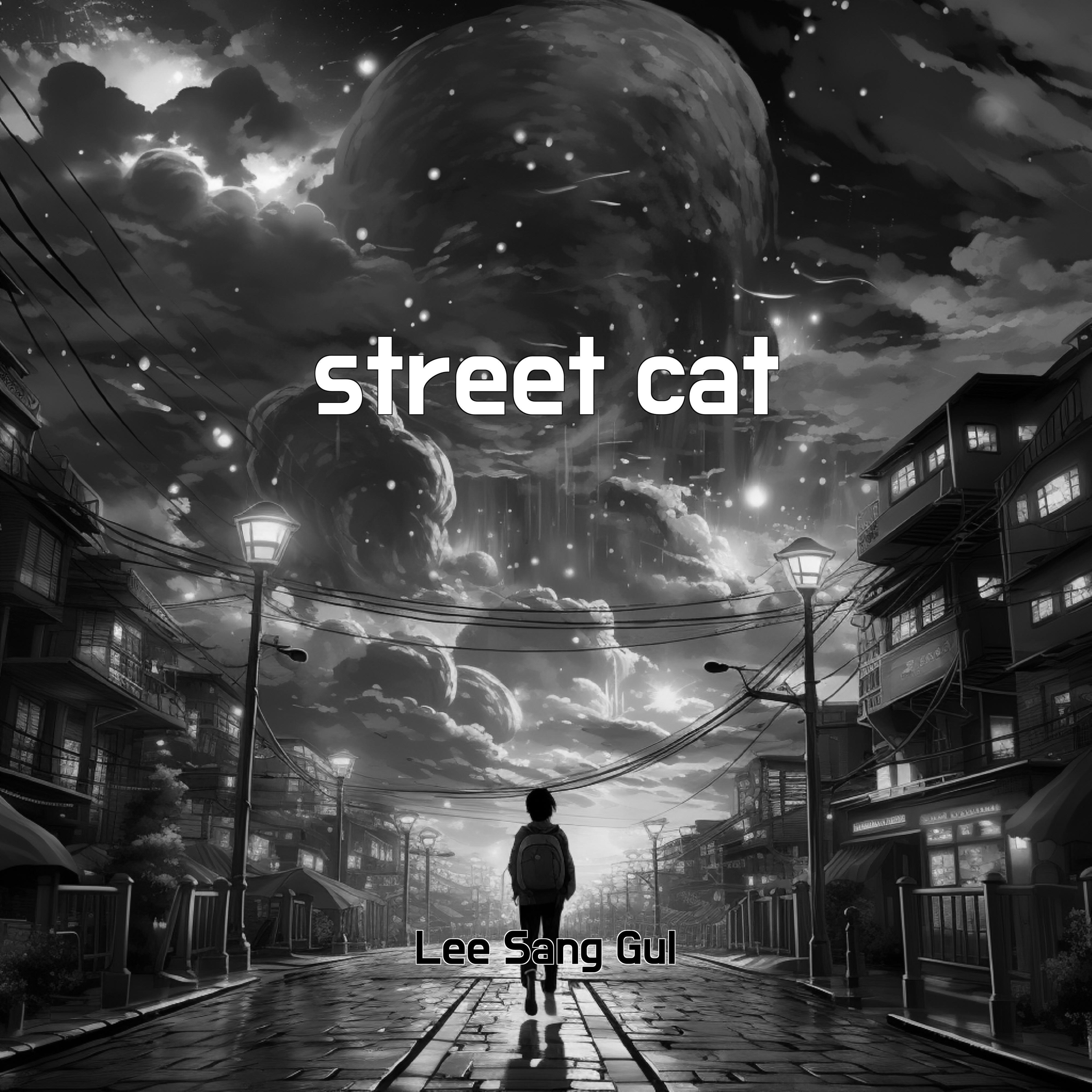 Релиз street cat