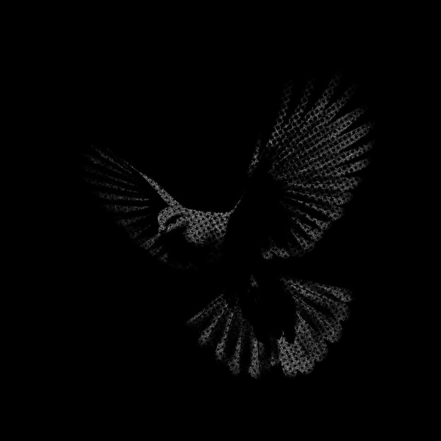 Релиз not you