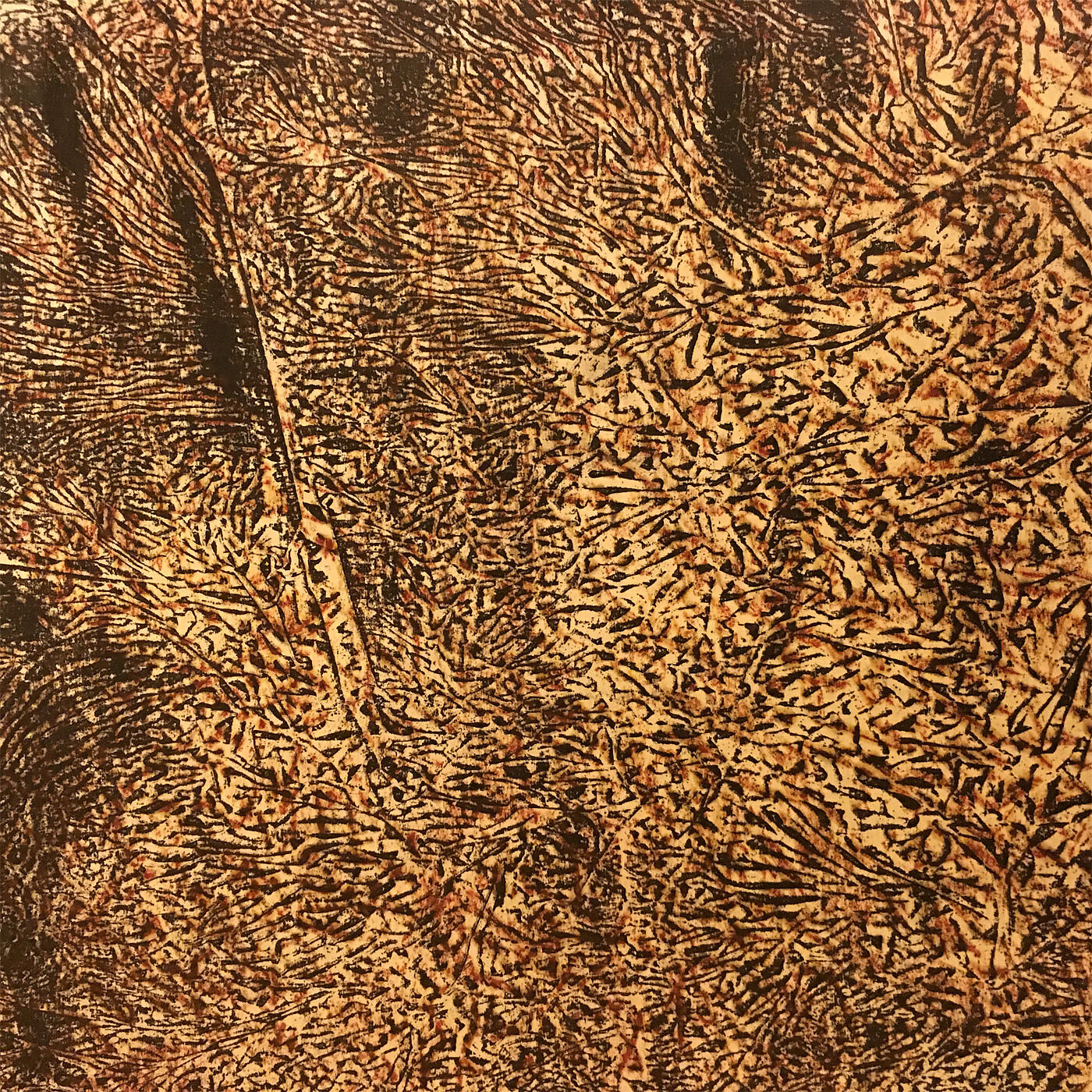 okseed2000