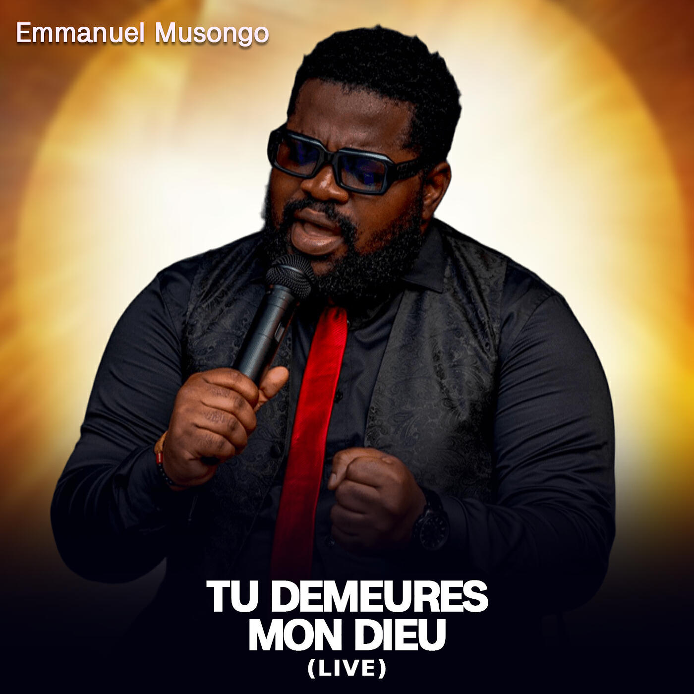 Релиз Tu Demeures Mon Dieu (Live)