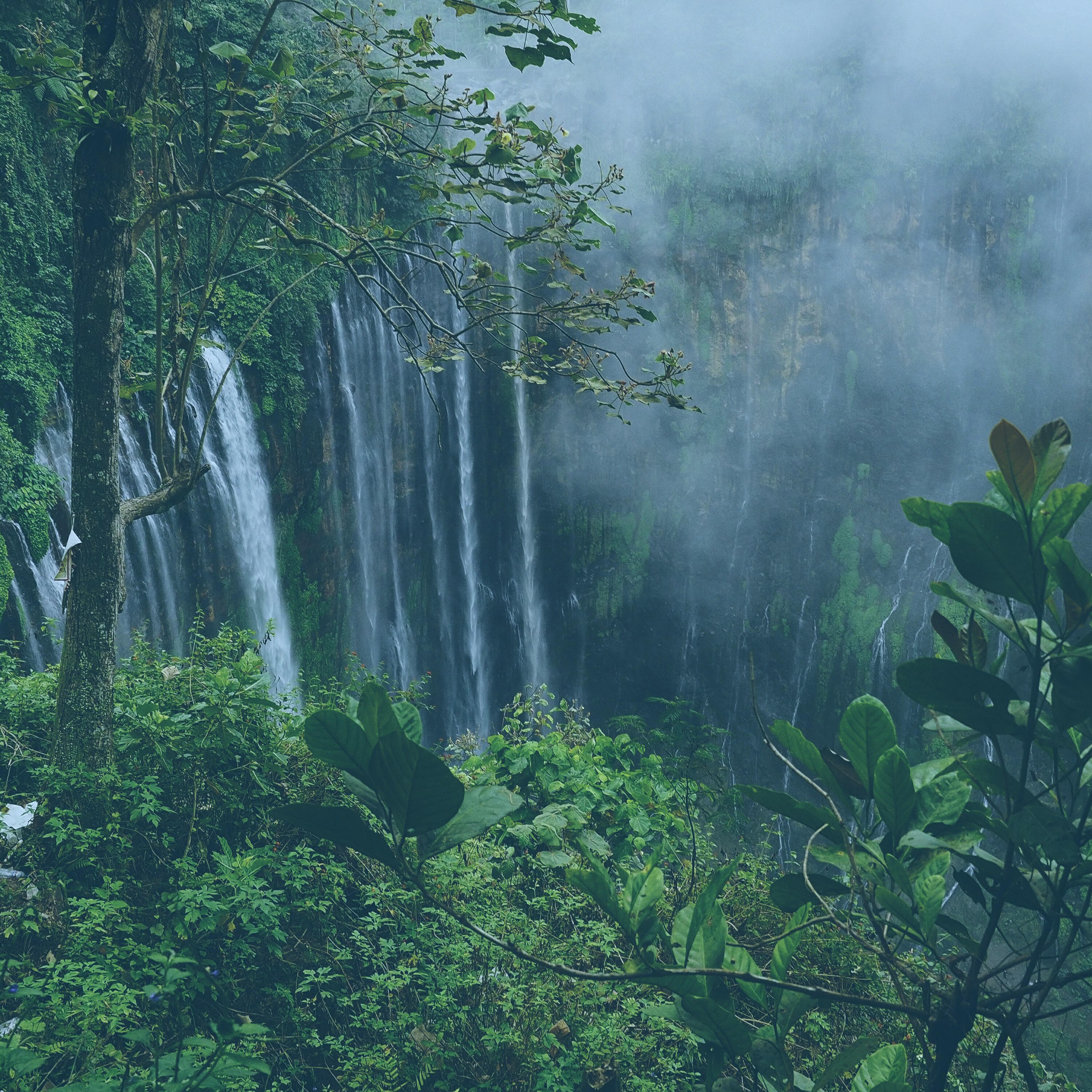 Релиз Waterfalls