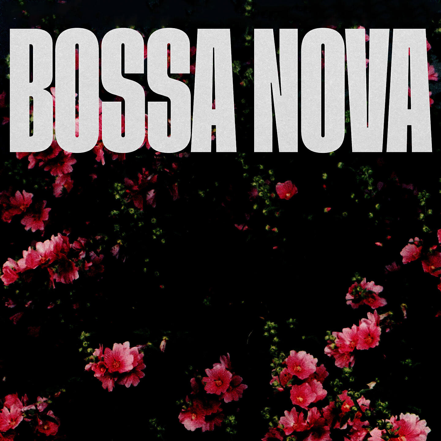Релиз Bossa Nova