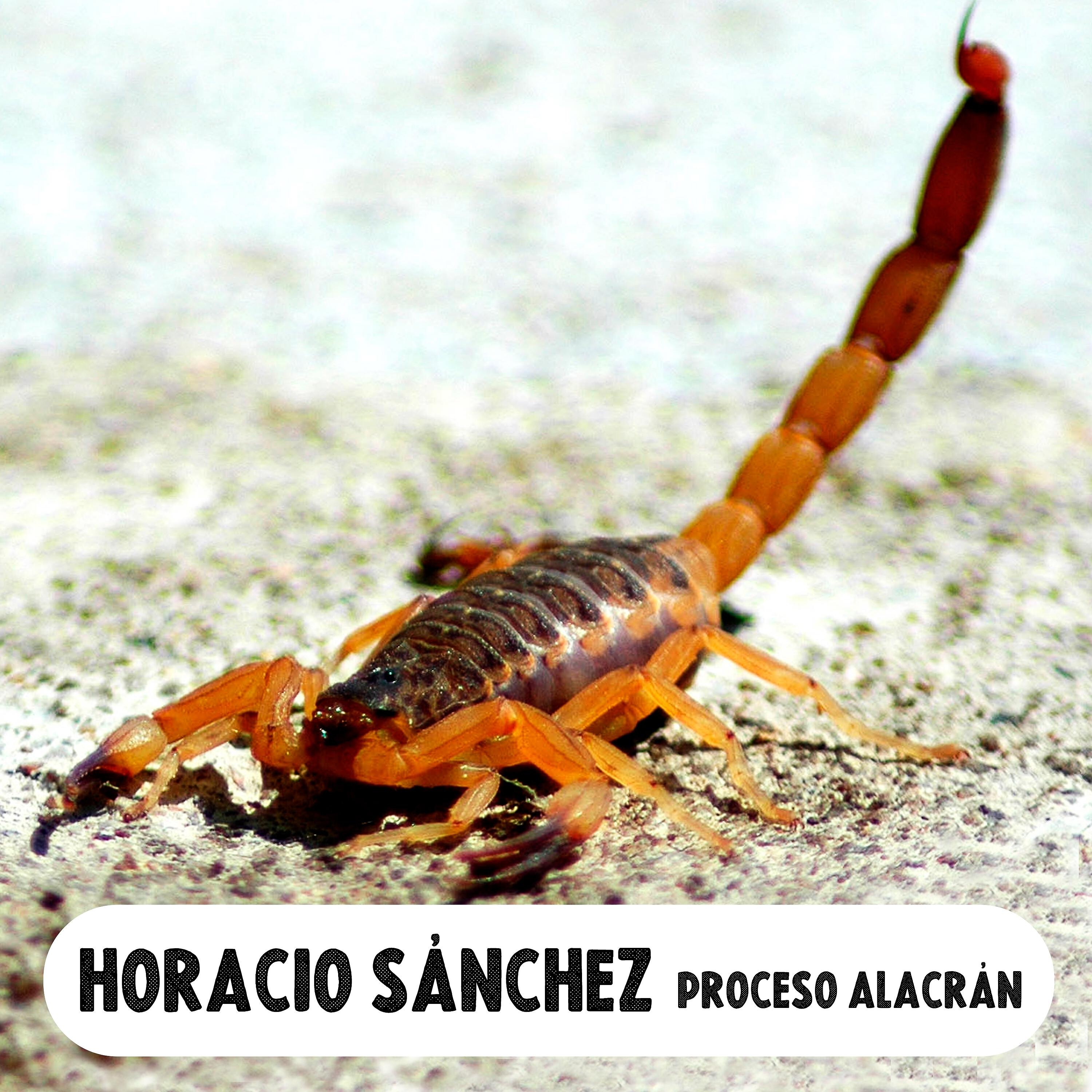 Релиз Proceso Alacrán