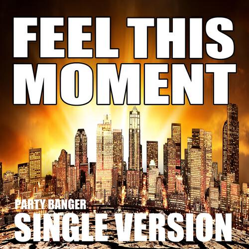 Релиз Feel This Moment (Radio Version)