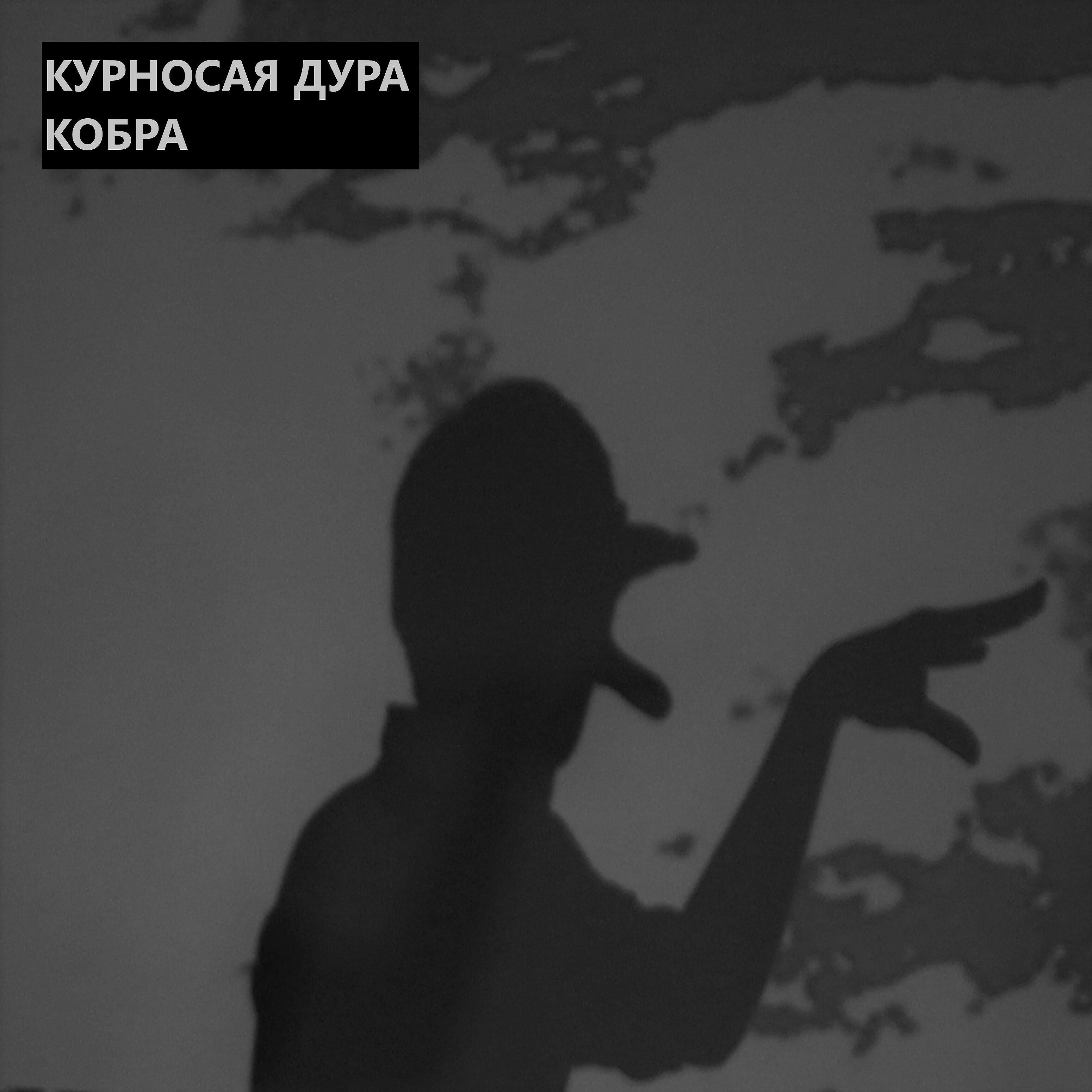 Релиз Кобра