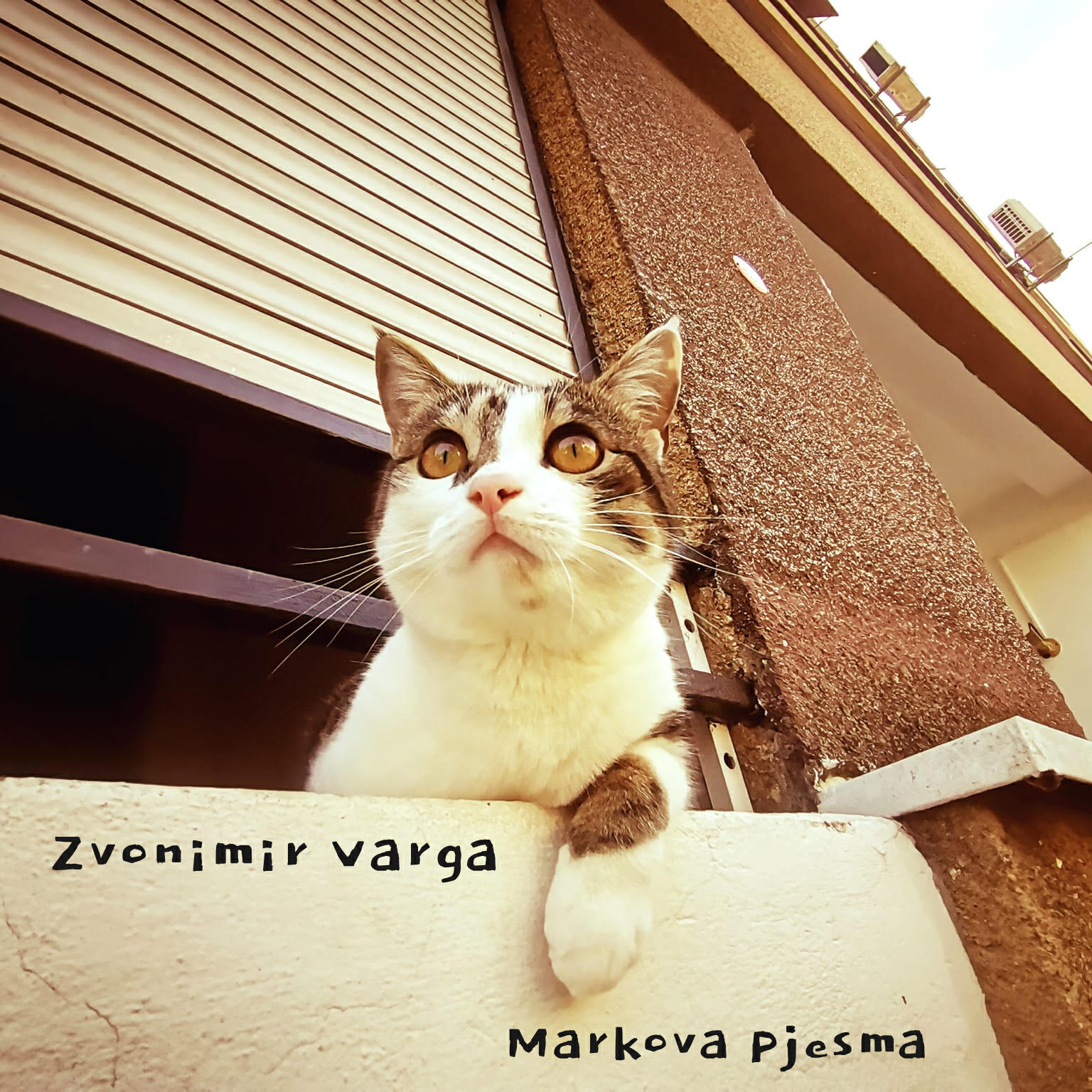 Релиз Markova Pjesma