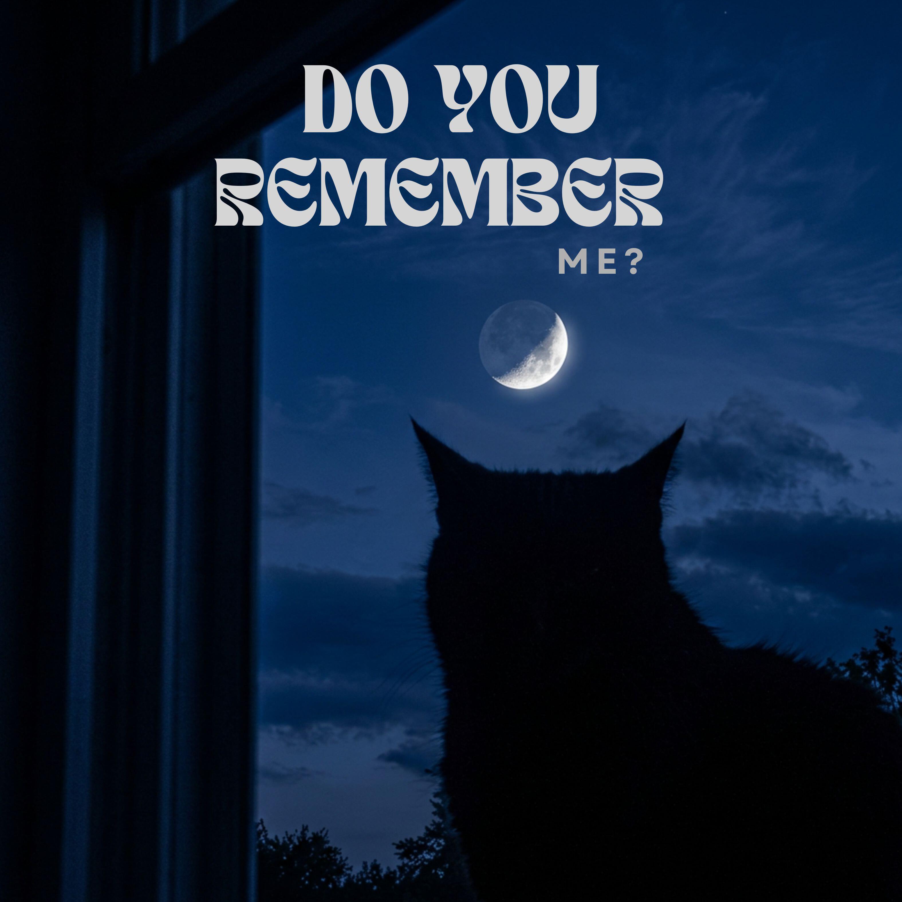 Релиз Do You Remember Me?