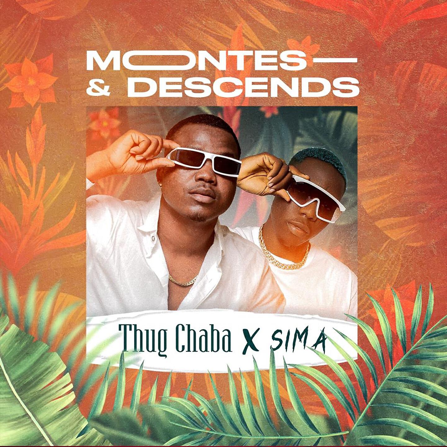 Релиз Montes & Descends