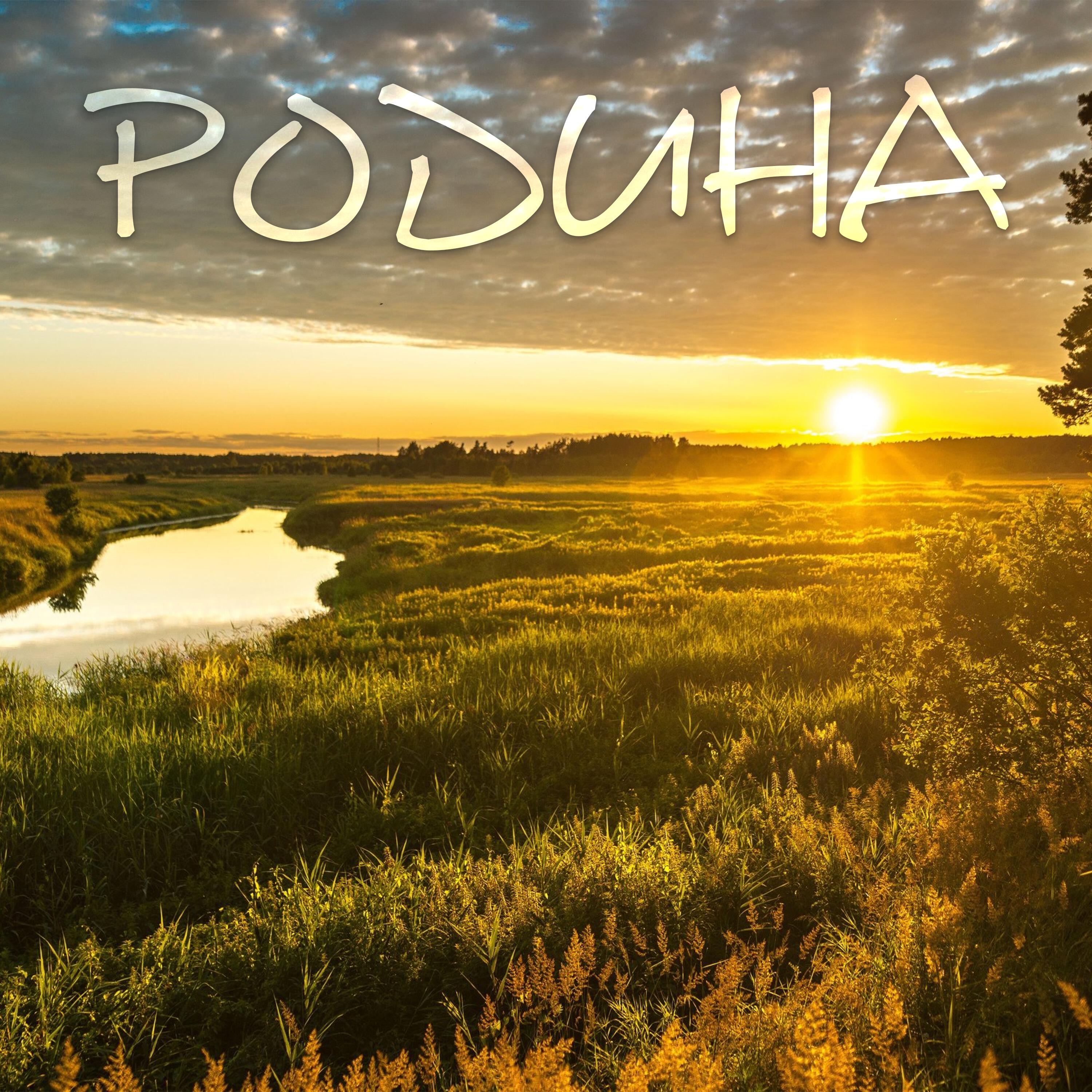Релиз Родина