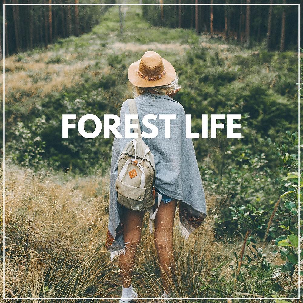 Релиз Forest Life
