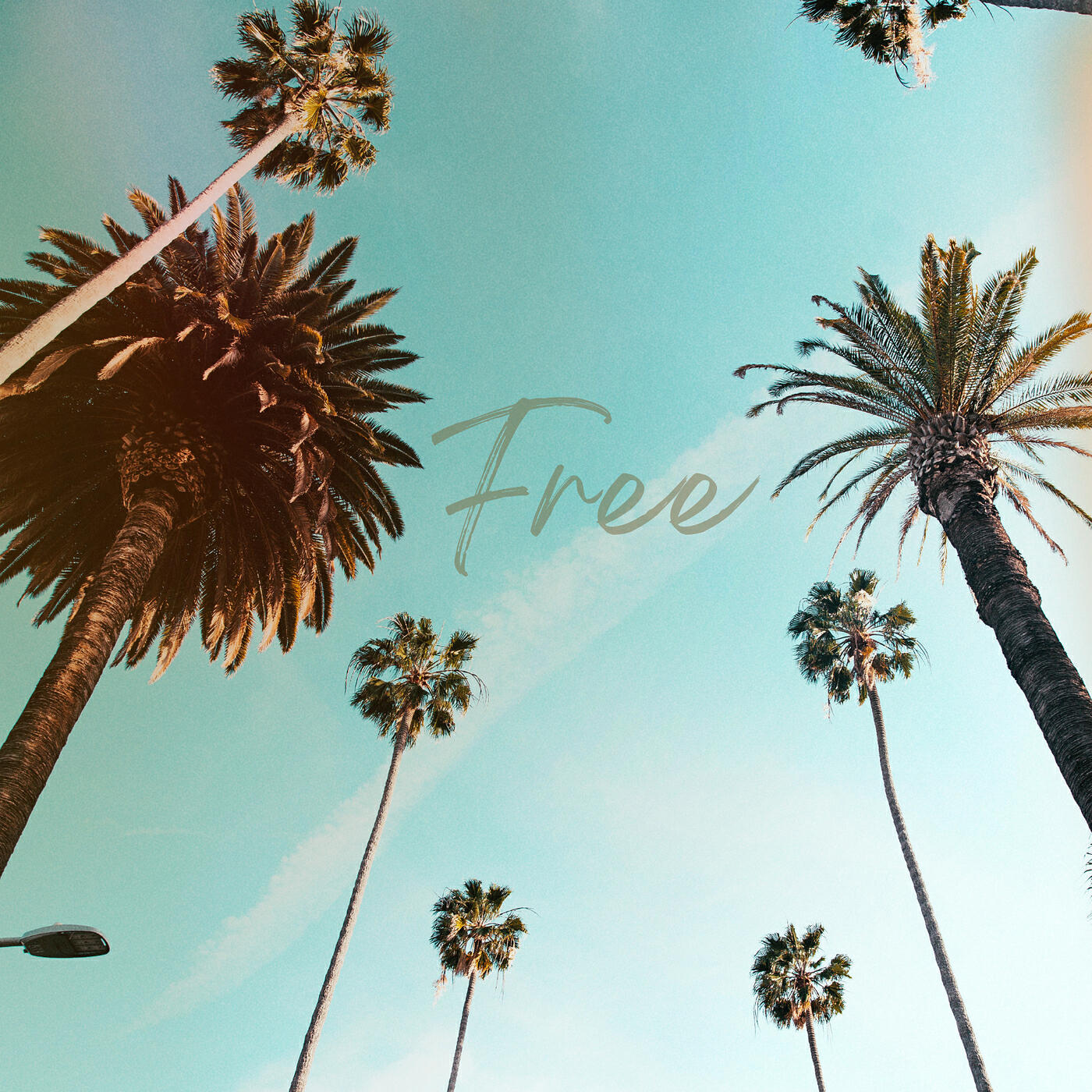 Релиз Free