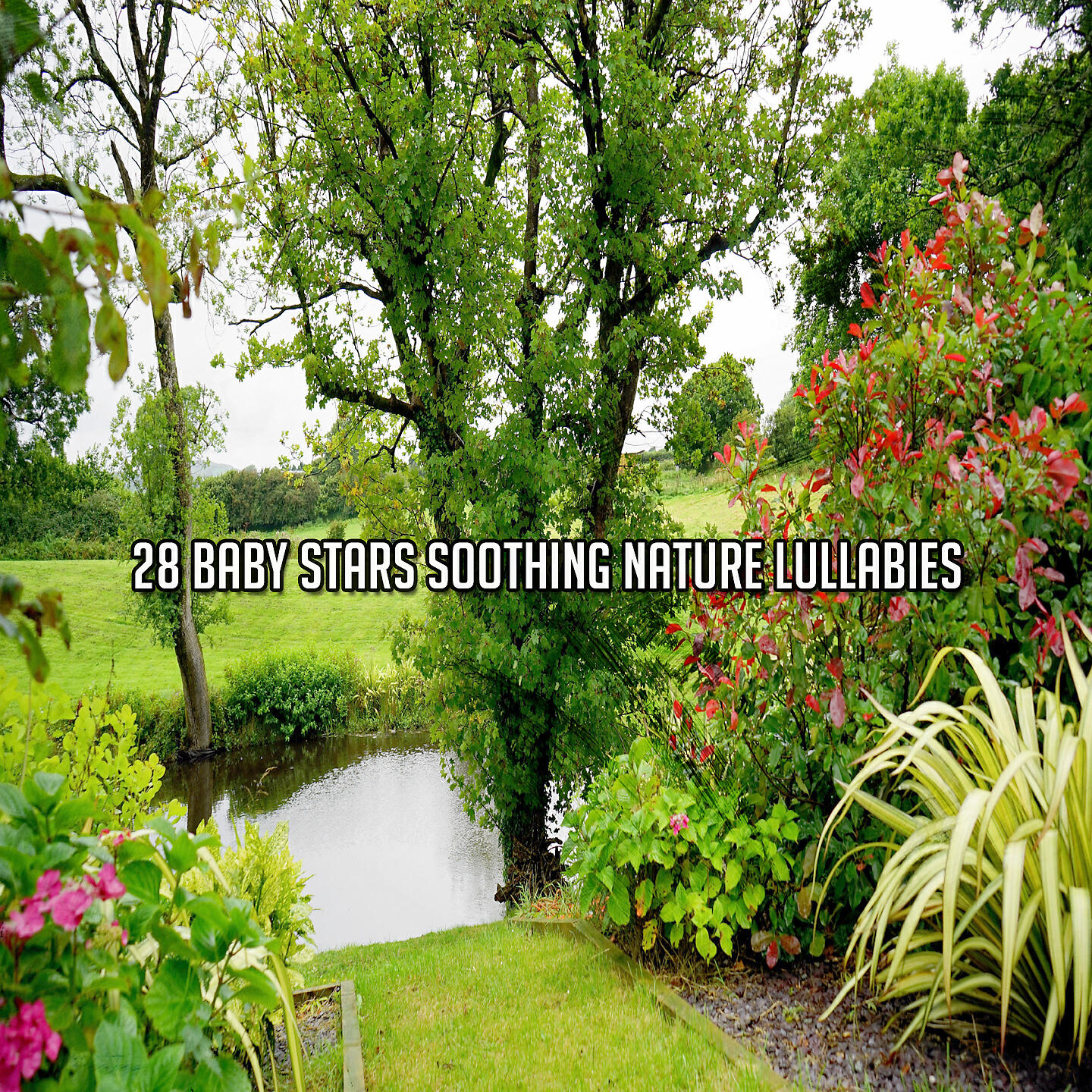 Релиз 28 Baby Stars Soothing Nature Lullabies
