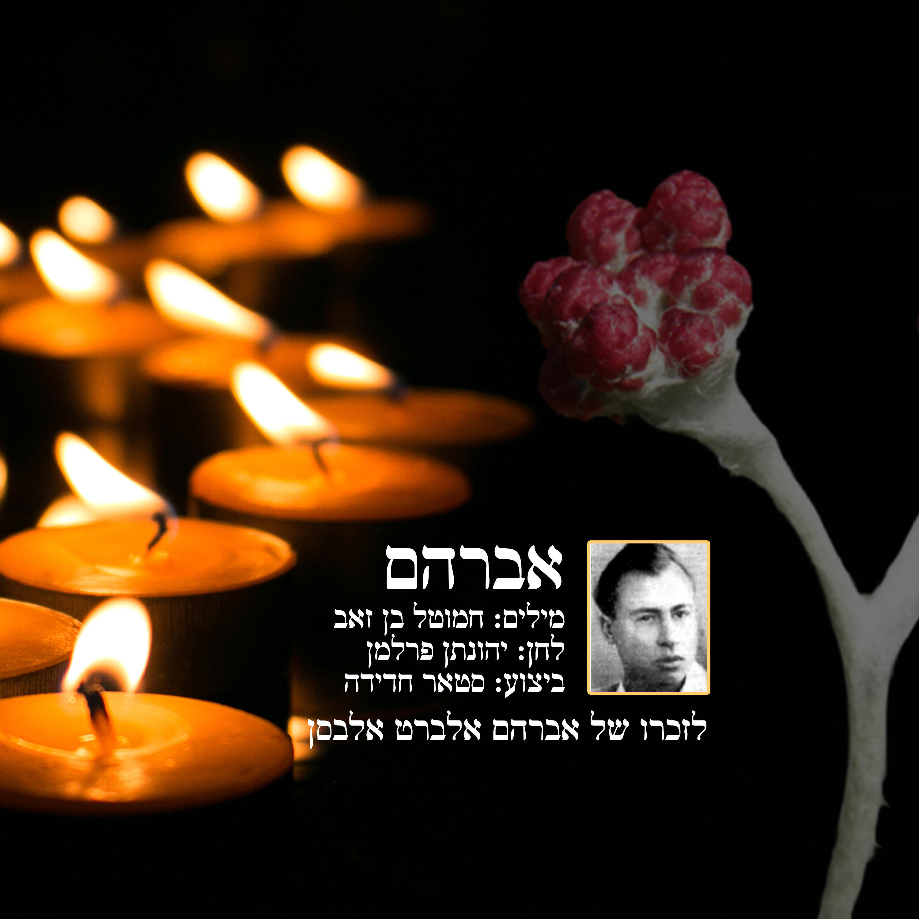סטאר חדידה