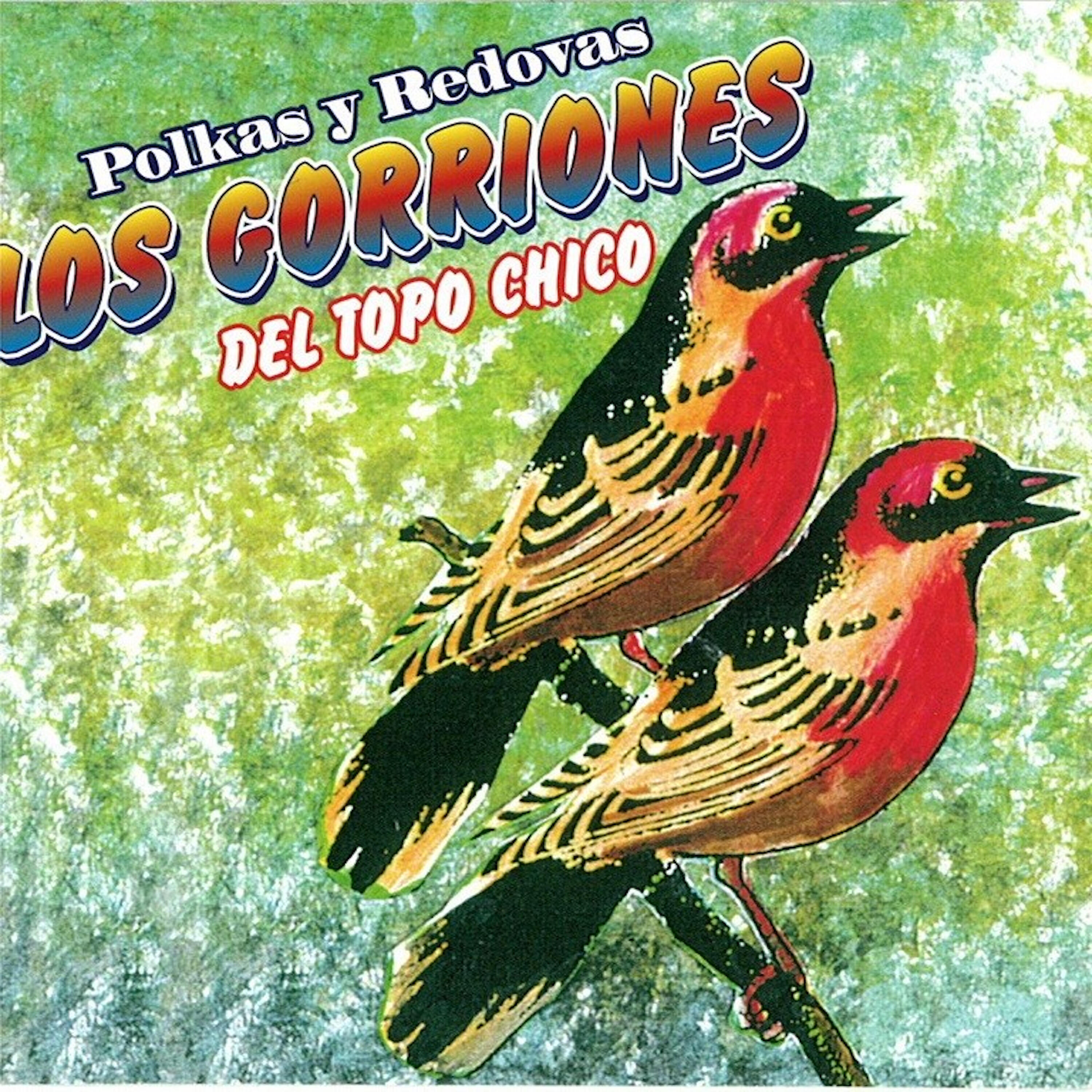 Релиз Polkas y Redovas