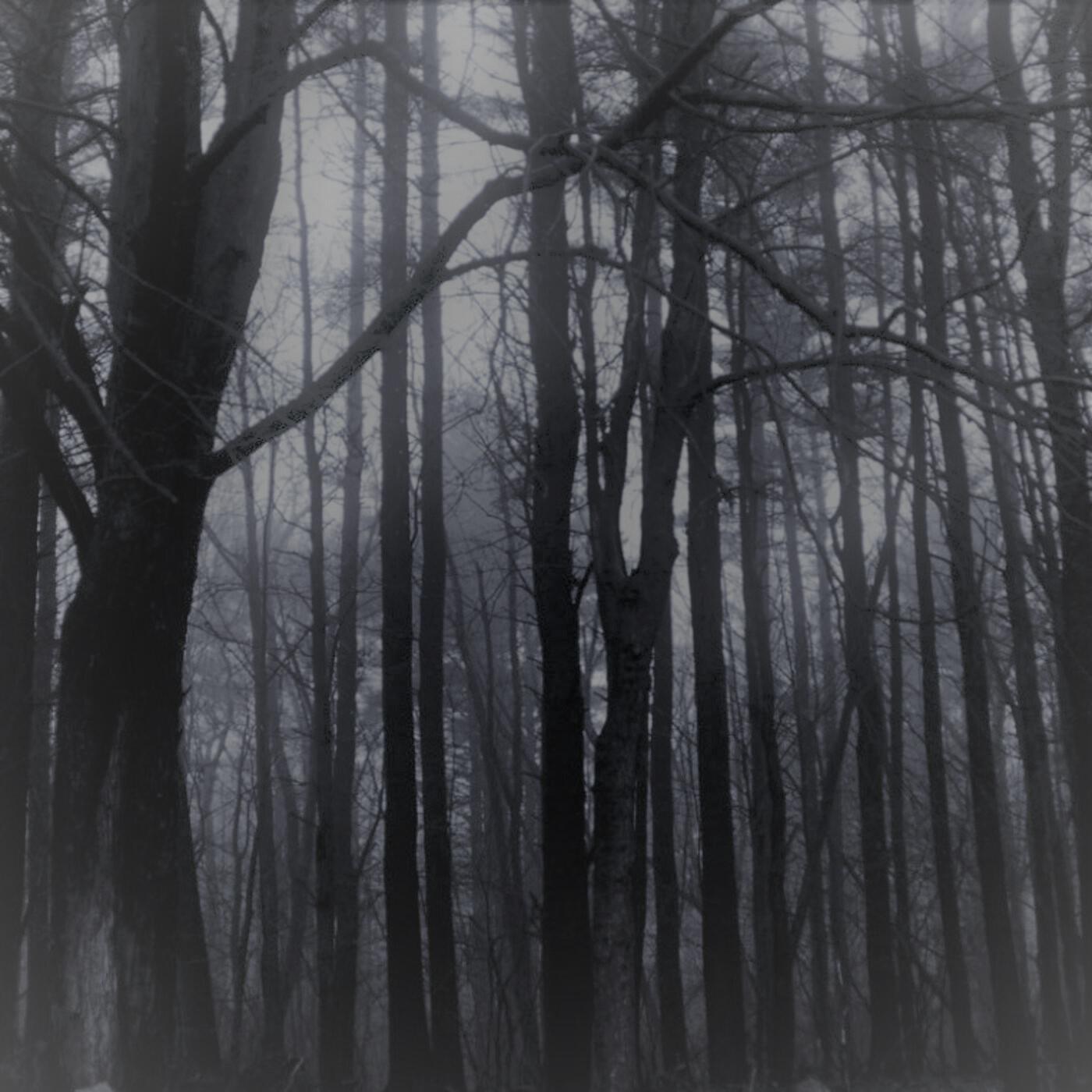 Релиз Heathen ᛉ Kävälleri