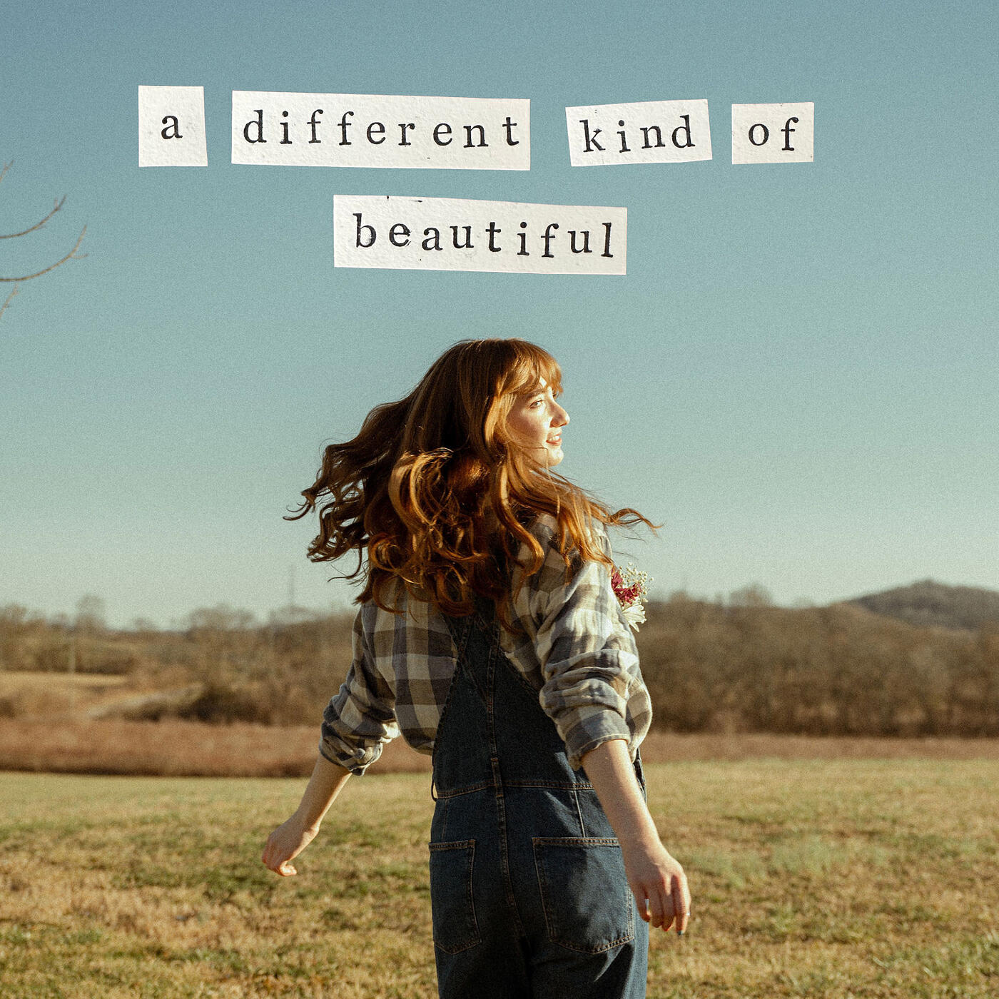 Релиз A Different Kind of Beautiful