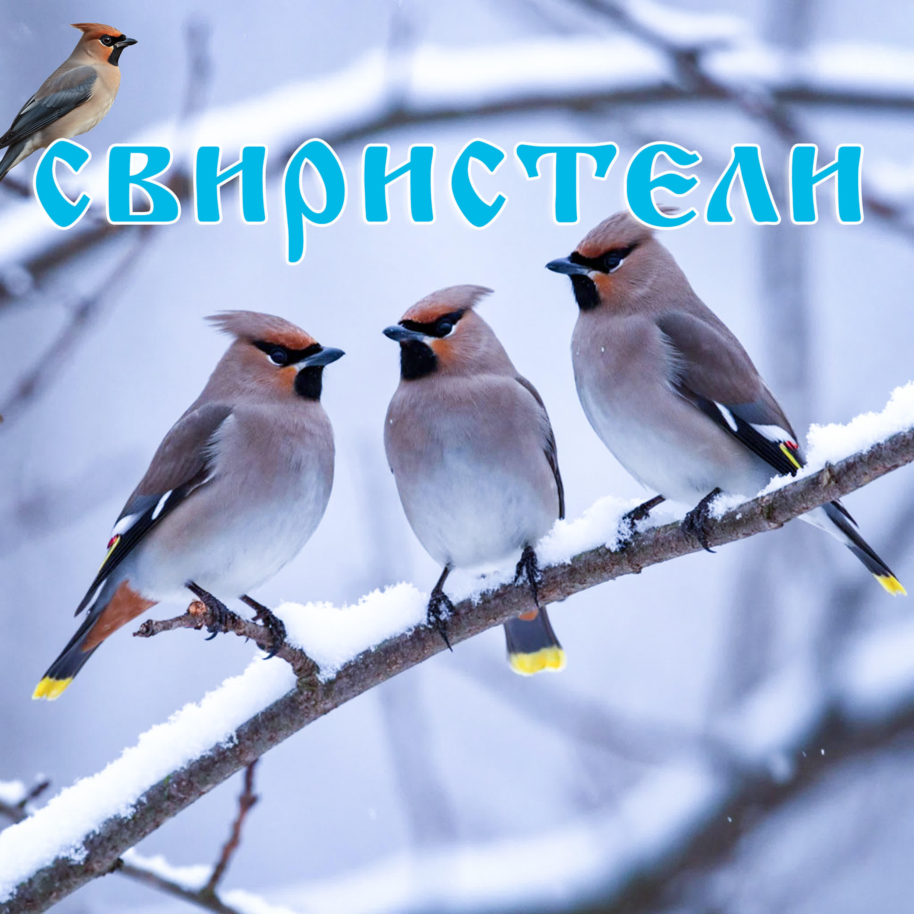 Любавушка