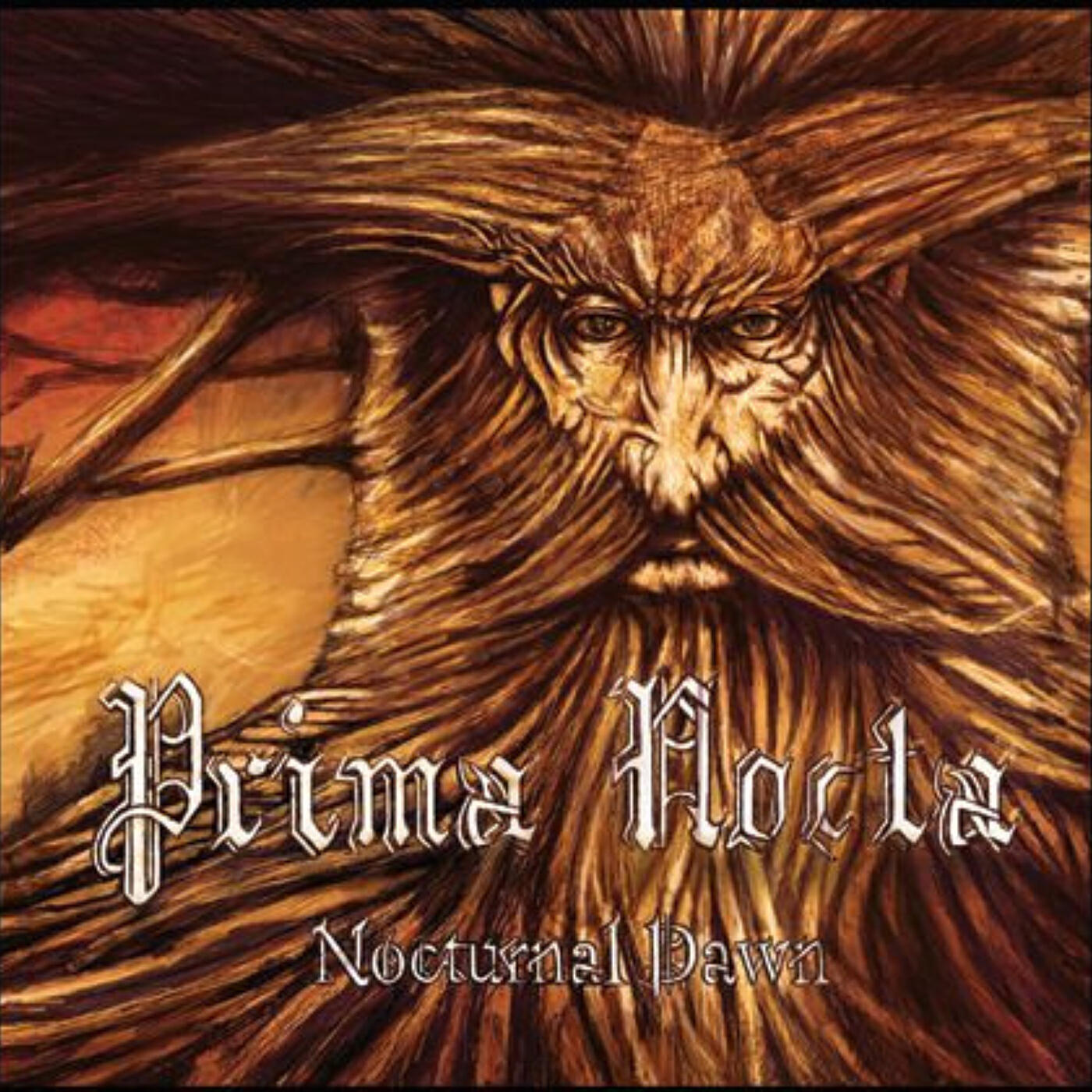 Постер альбома Nocturnal Dawn