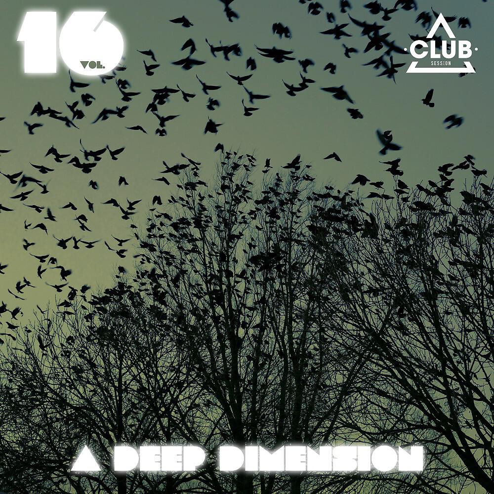 Релиз A Deep Dimension, Vol. 16
