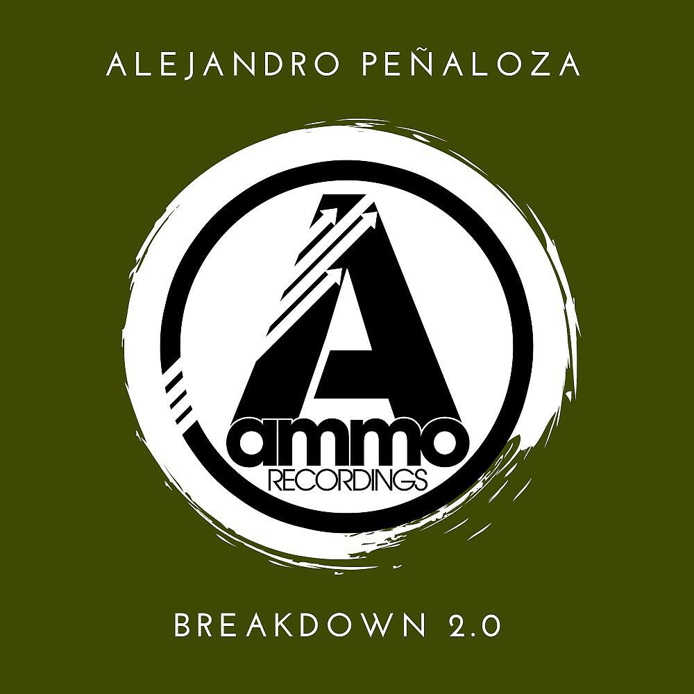 Alejandro Penaloza