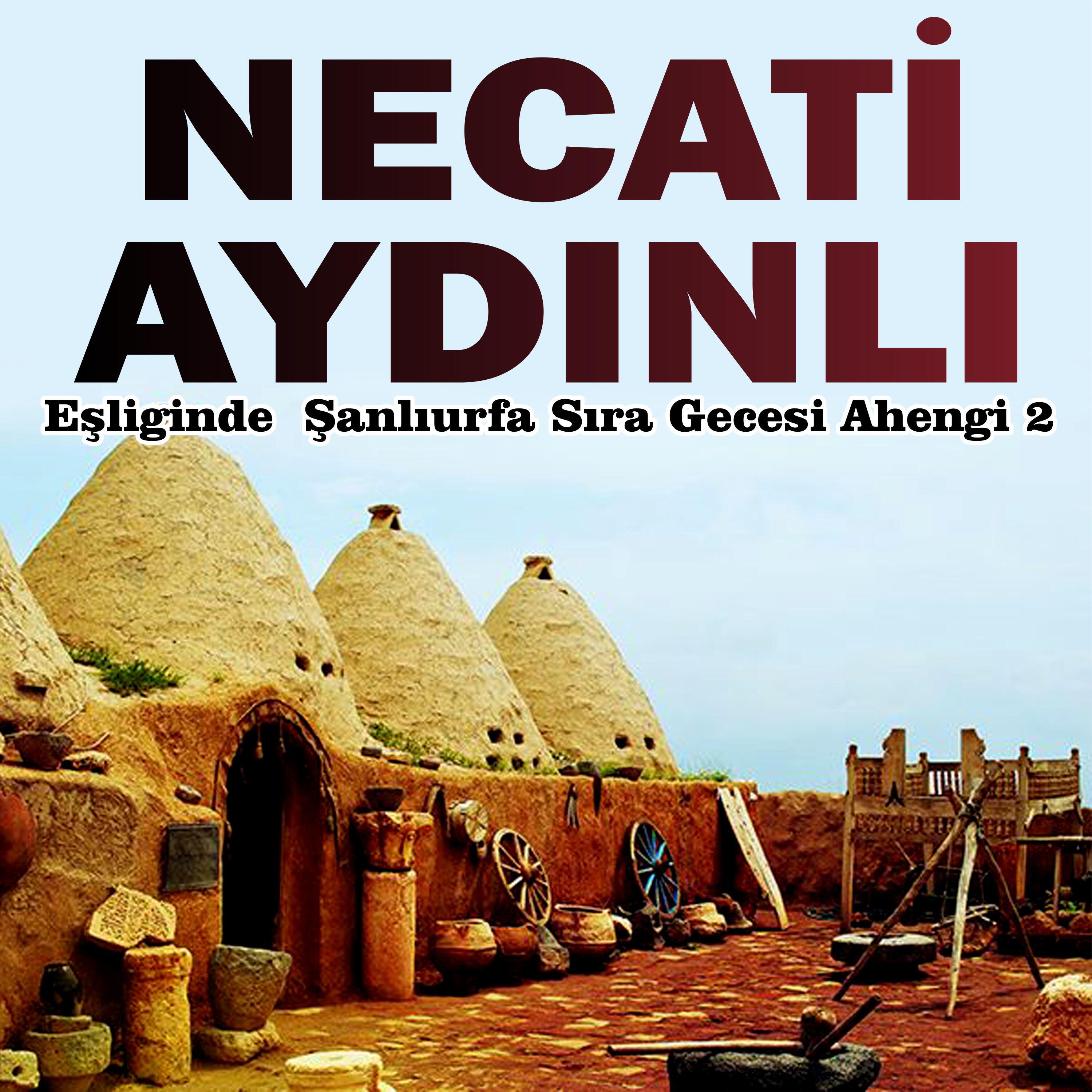 Necati Aydınlı