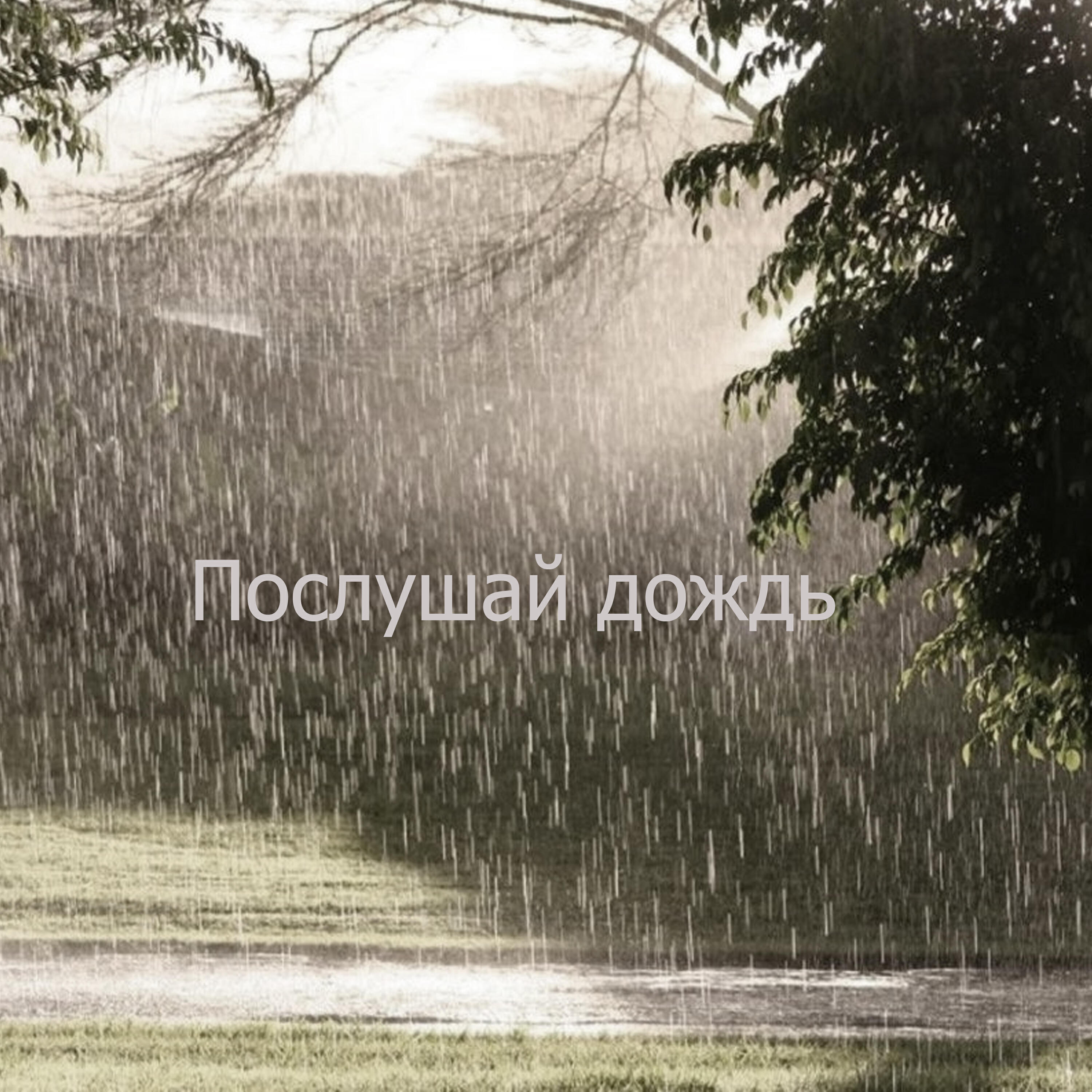 Релиз Послушай дождь