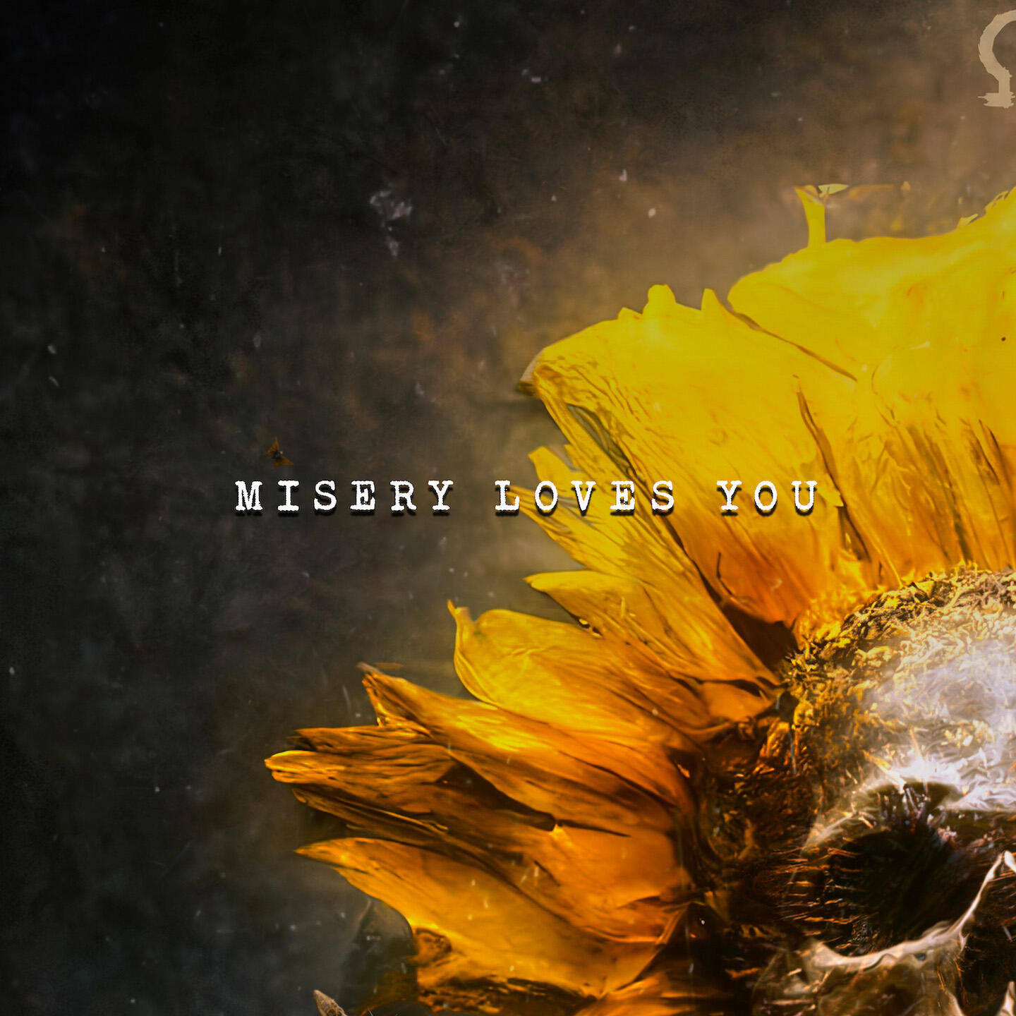 Релиз Misery Loves You