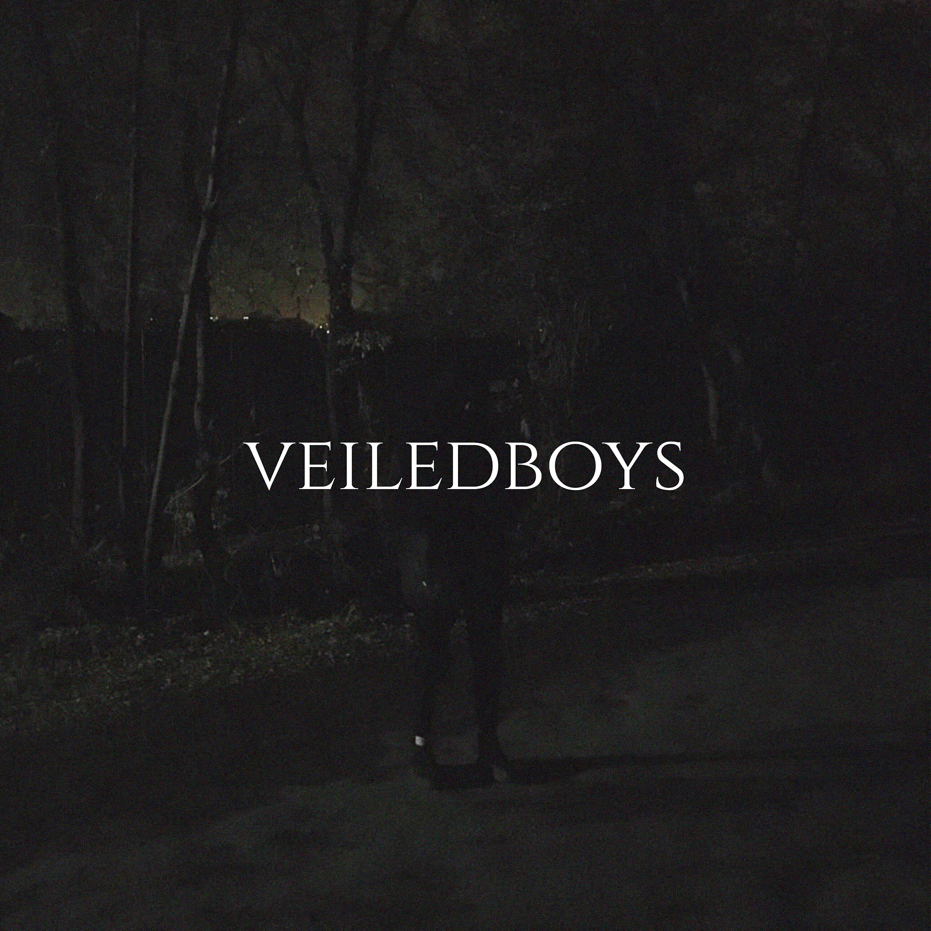 Релиз veiledboys