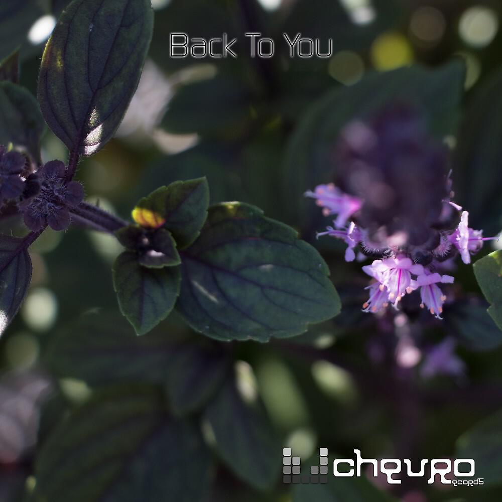 Релиз Back to You