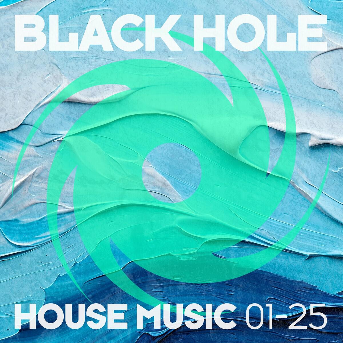 Релиз Black Hole House Music 01-25
