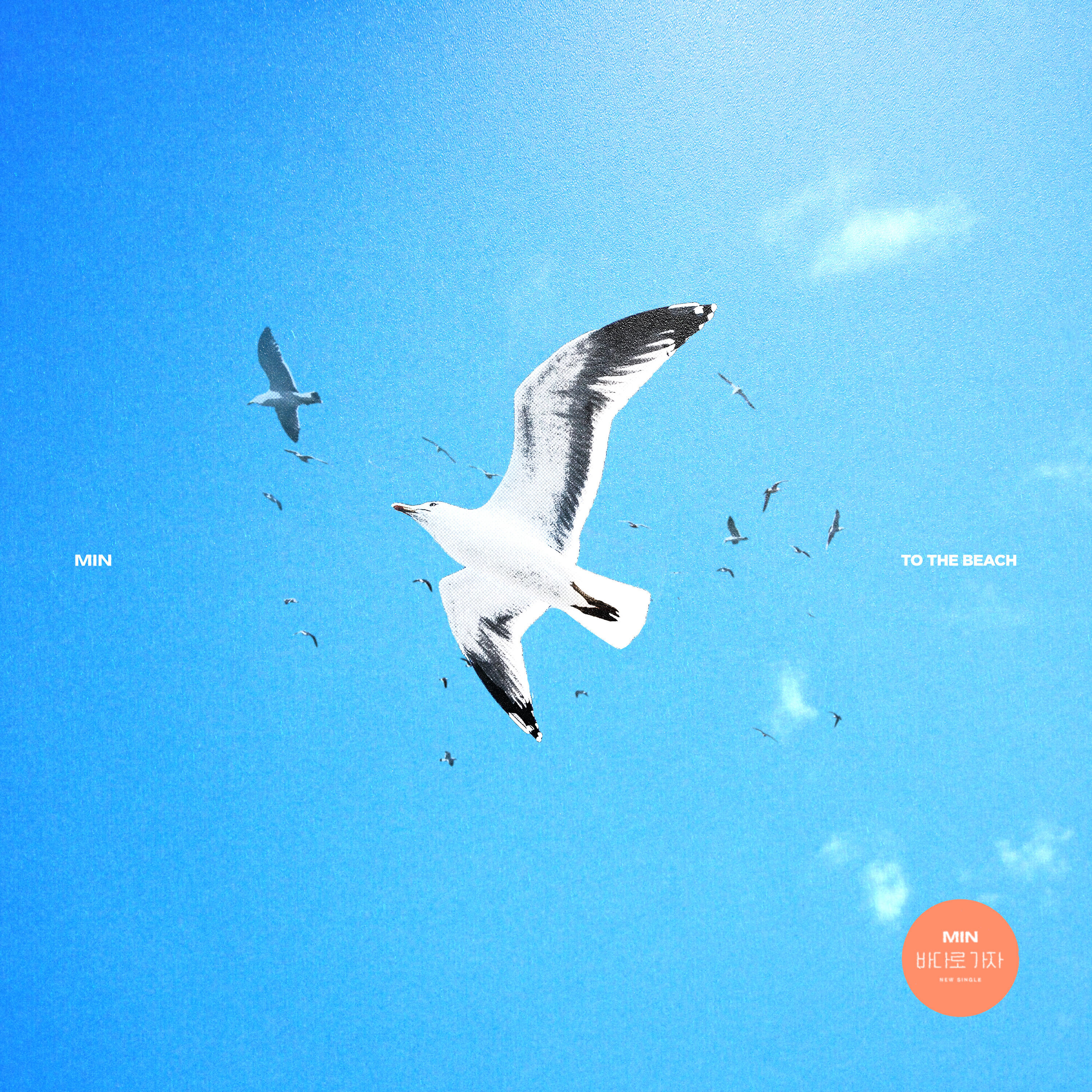 Релиз To The Beach