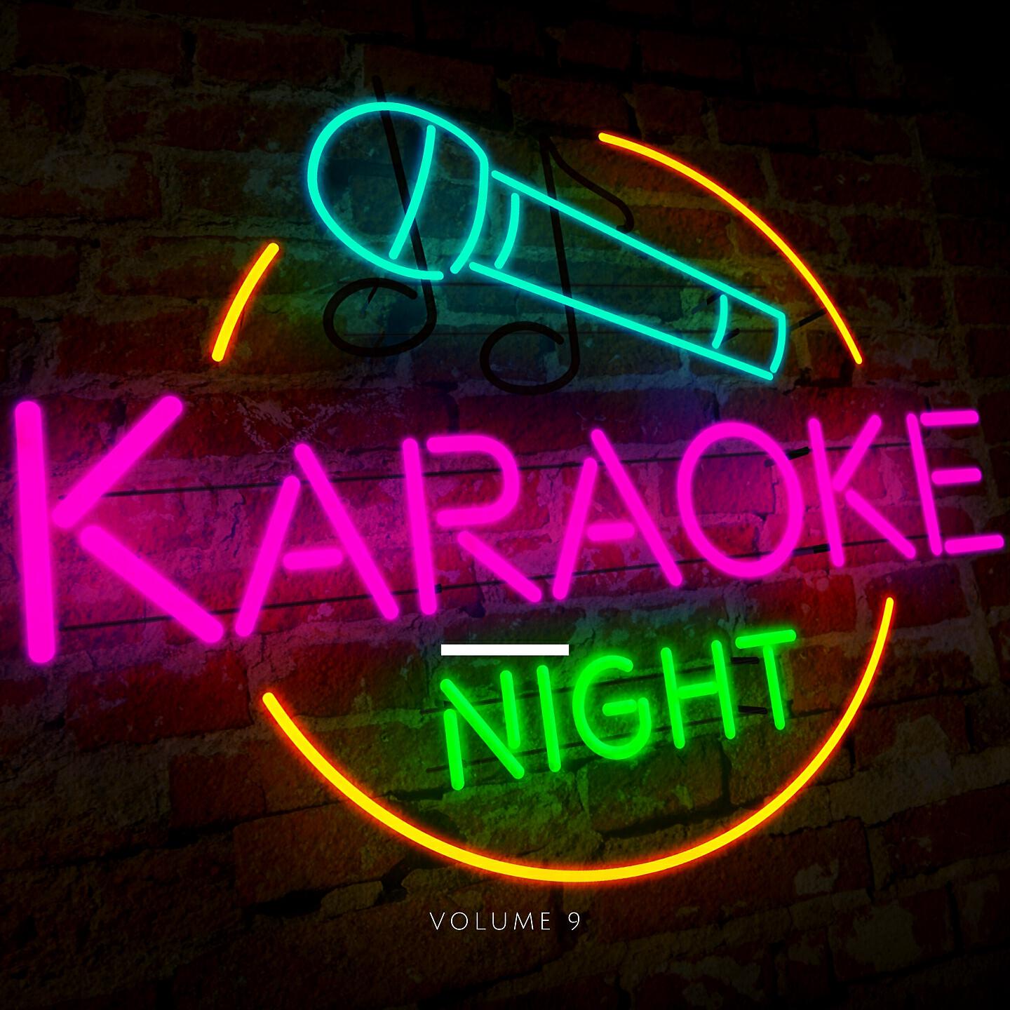 Релиз Karaoke Night, Vol. 9