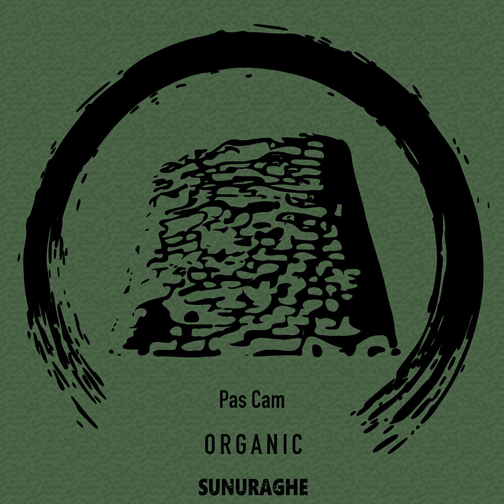Релиз Organic