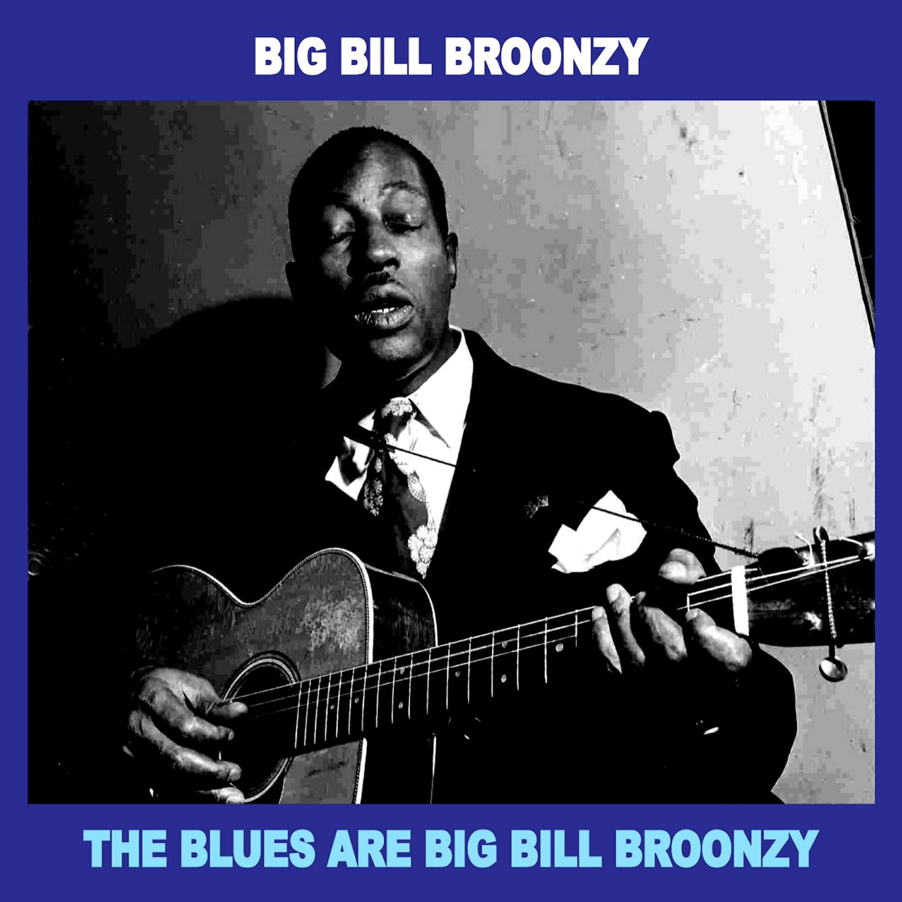Постер альбома The Blues Are Big Bill Broonzy