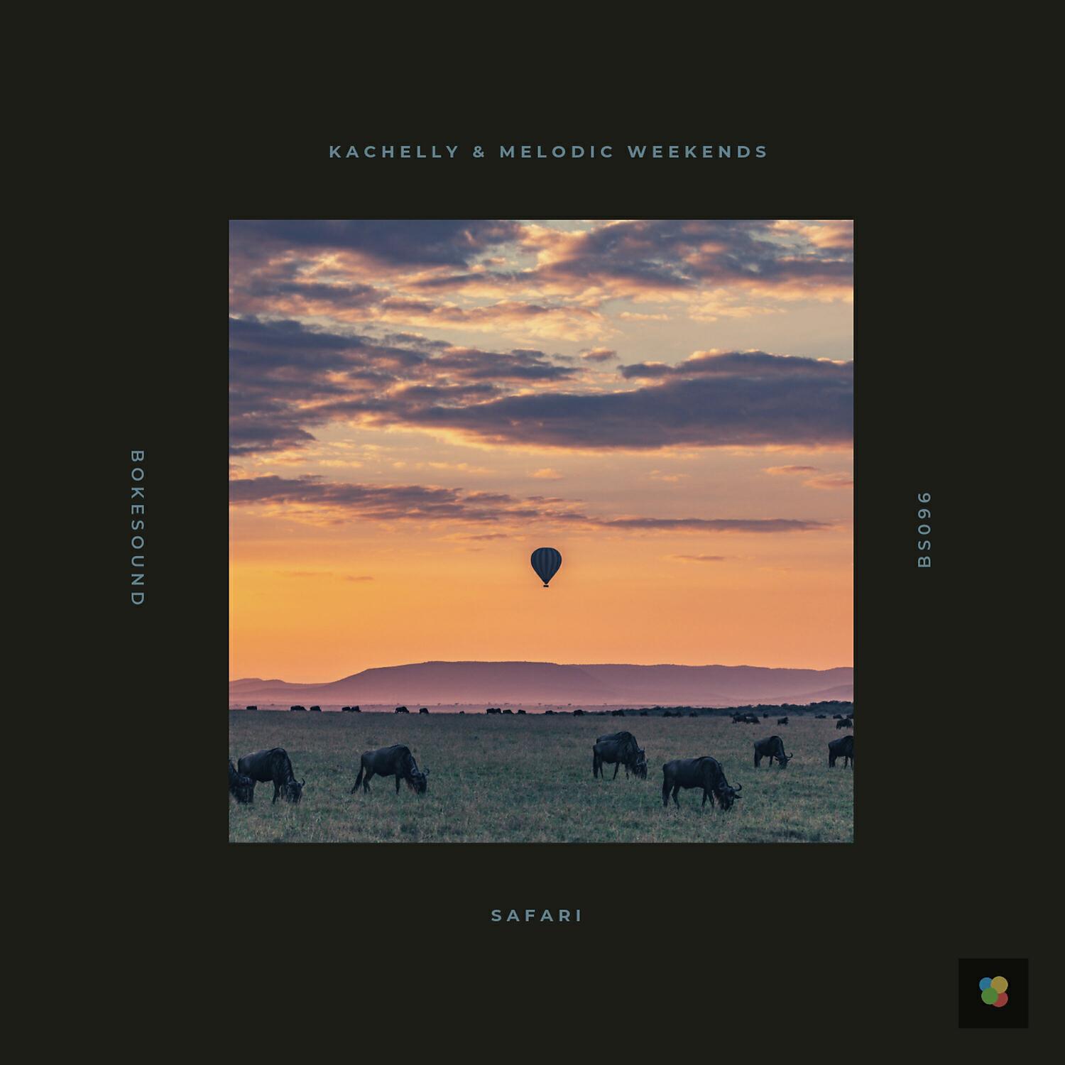Релиз Safari
