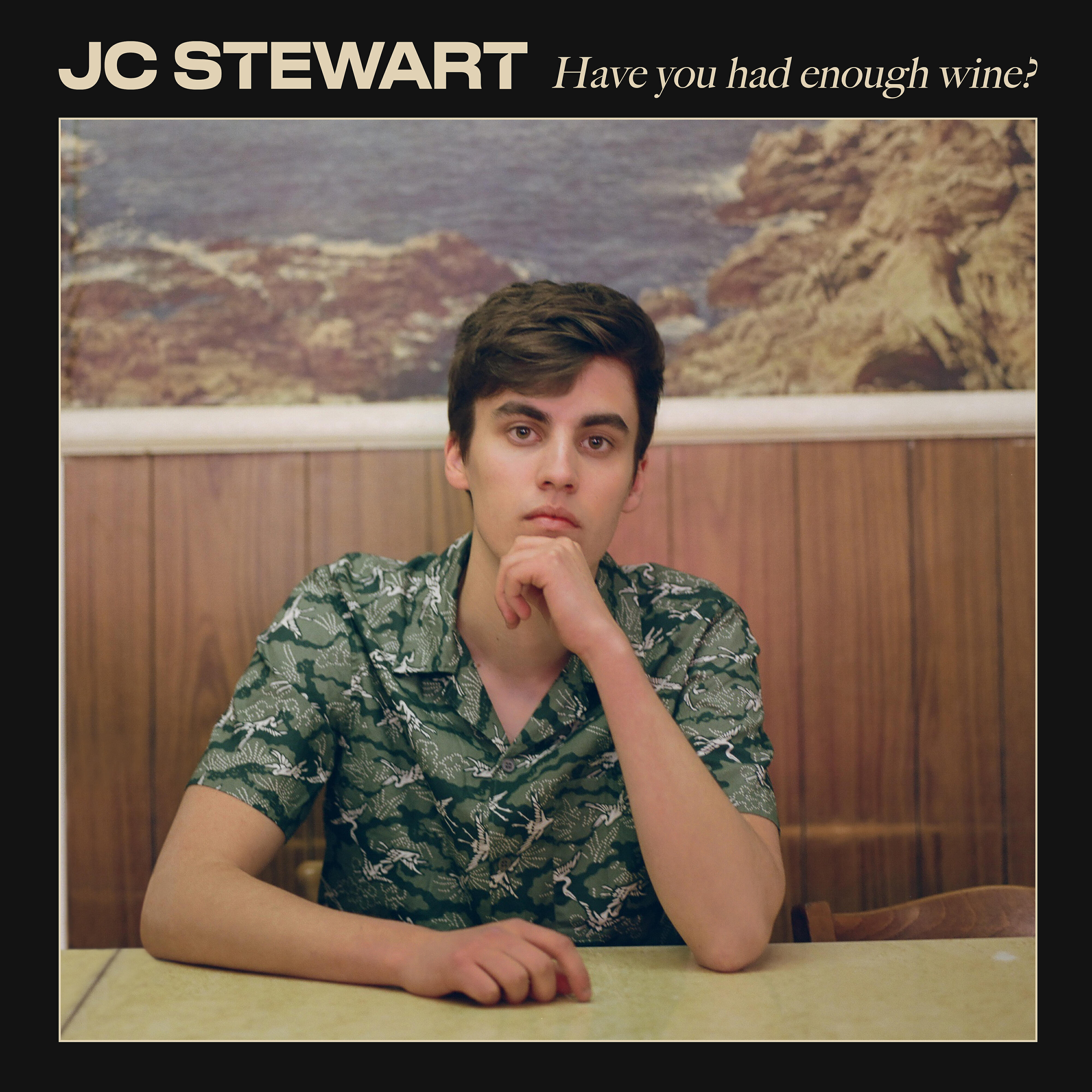 Релиз Have You Had Enough Wine?
