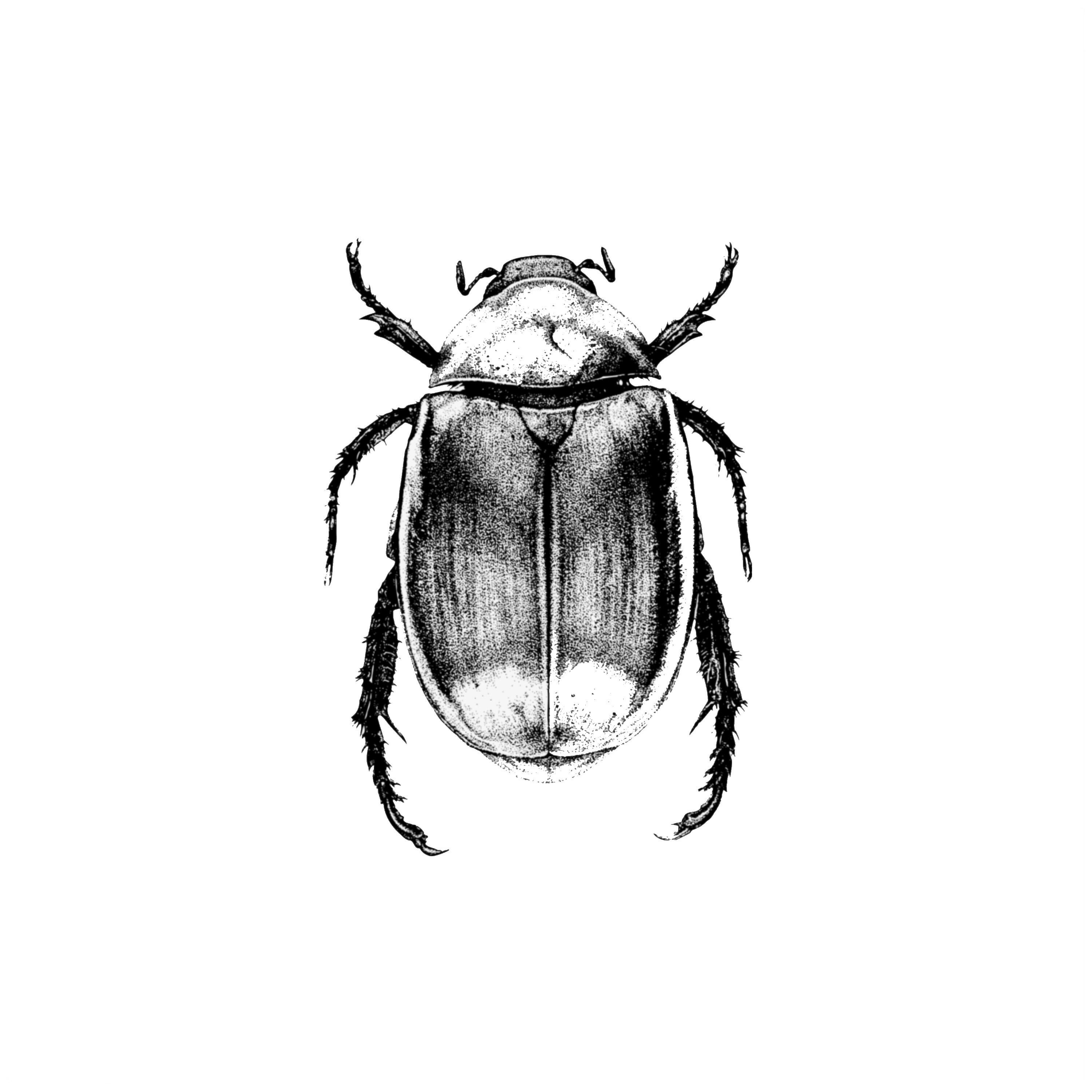 Релиз Narkolife