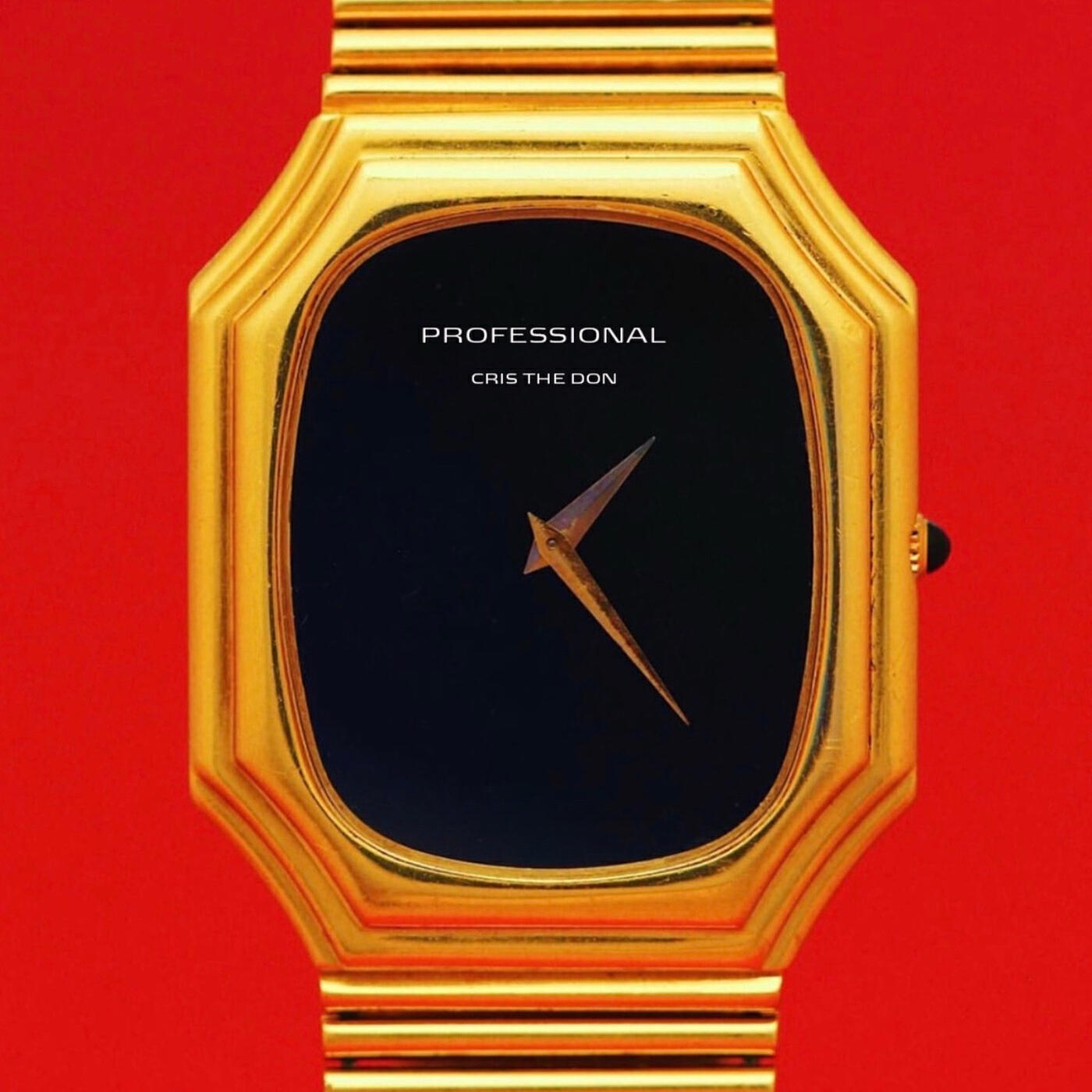 Релиз Professional