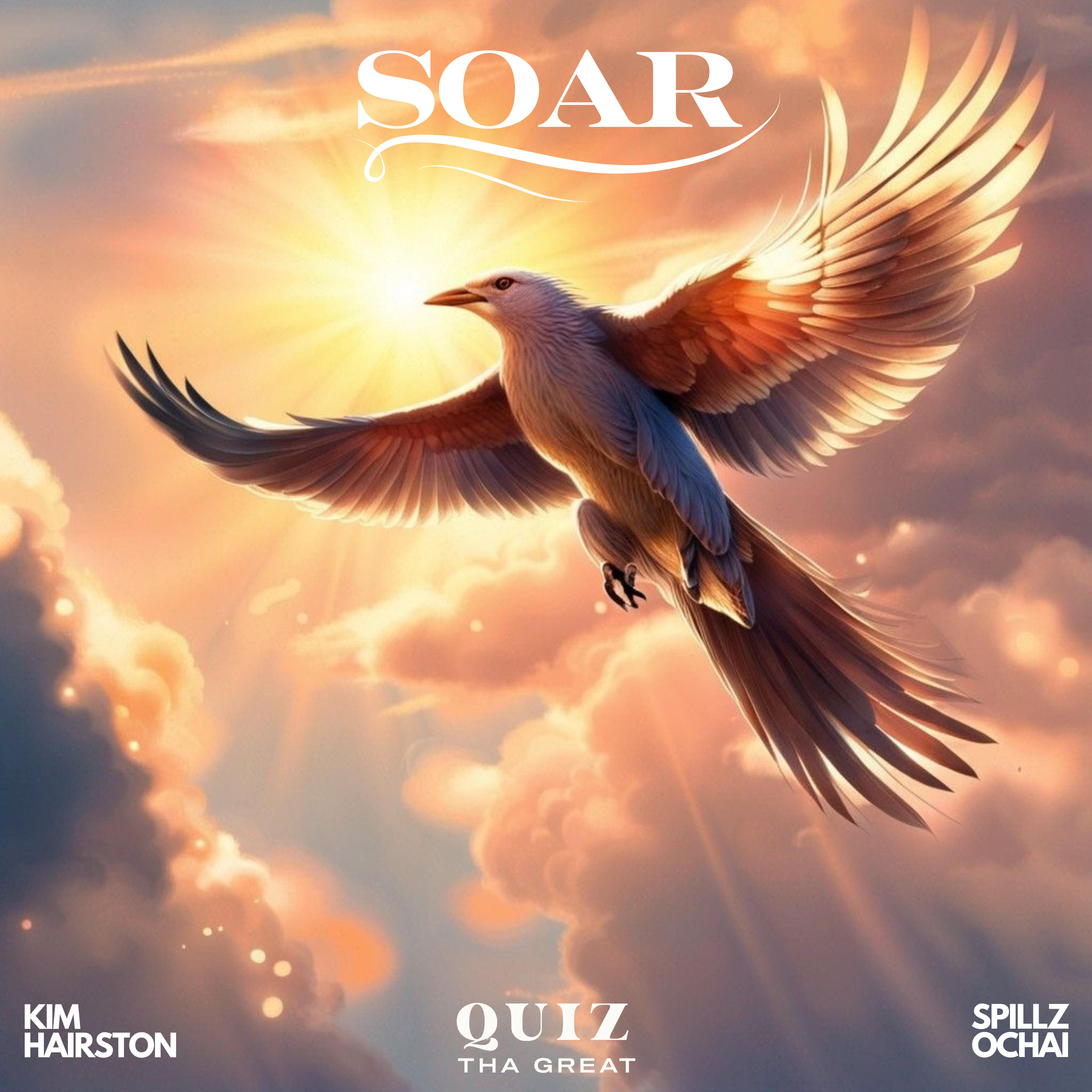 Релиз Soar