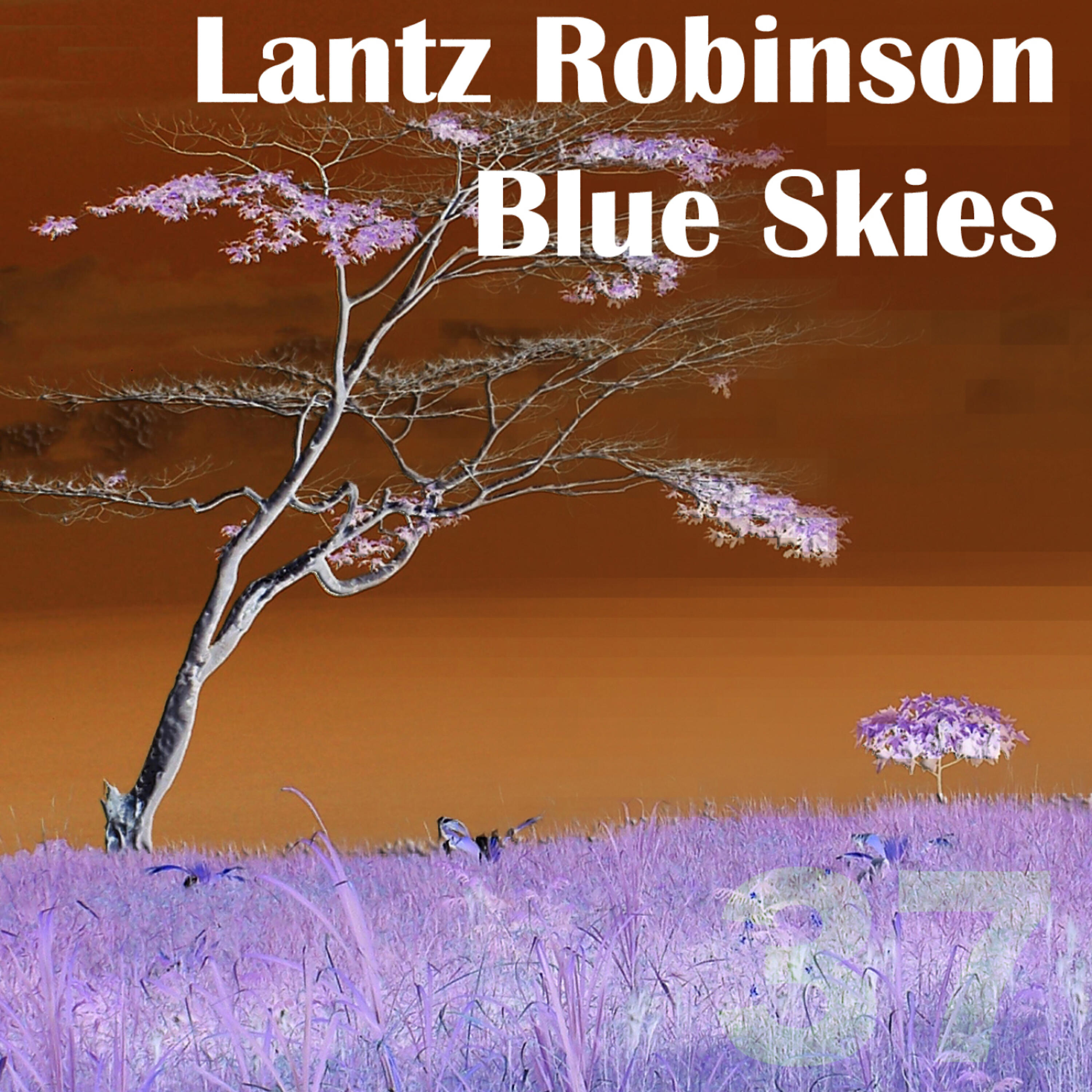 Lantz Robinson